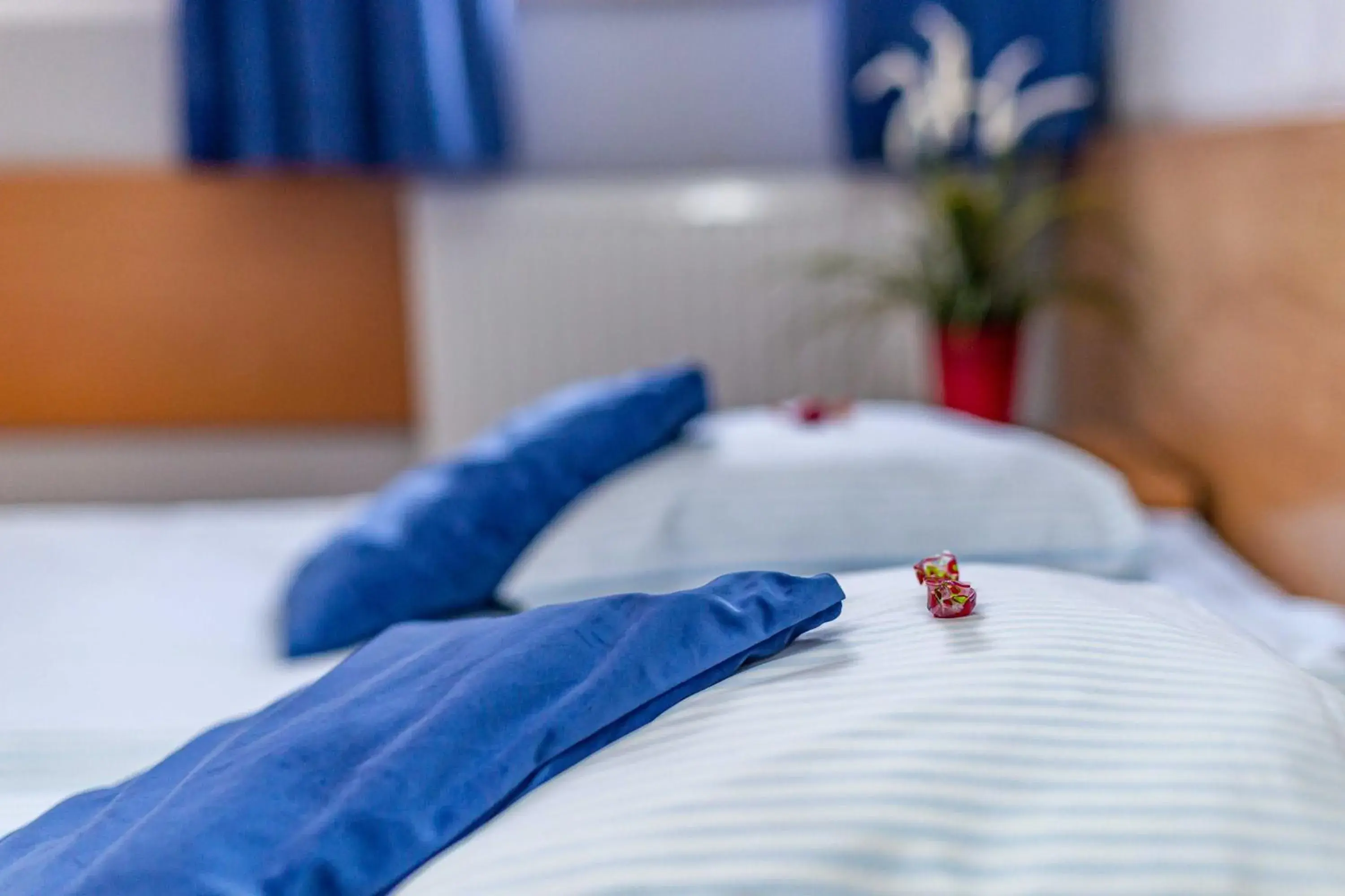 Double Room - single occupancy in Metropol Double Room - single occupancy in Metropol