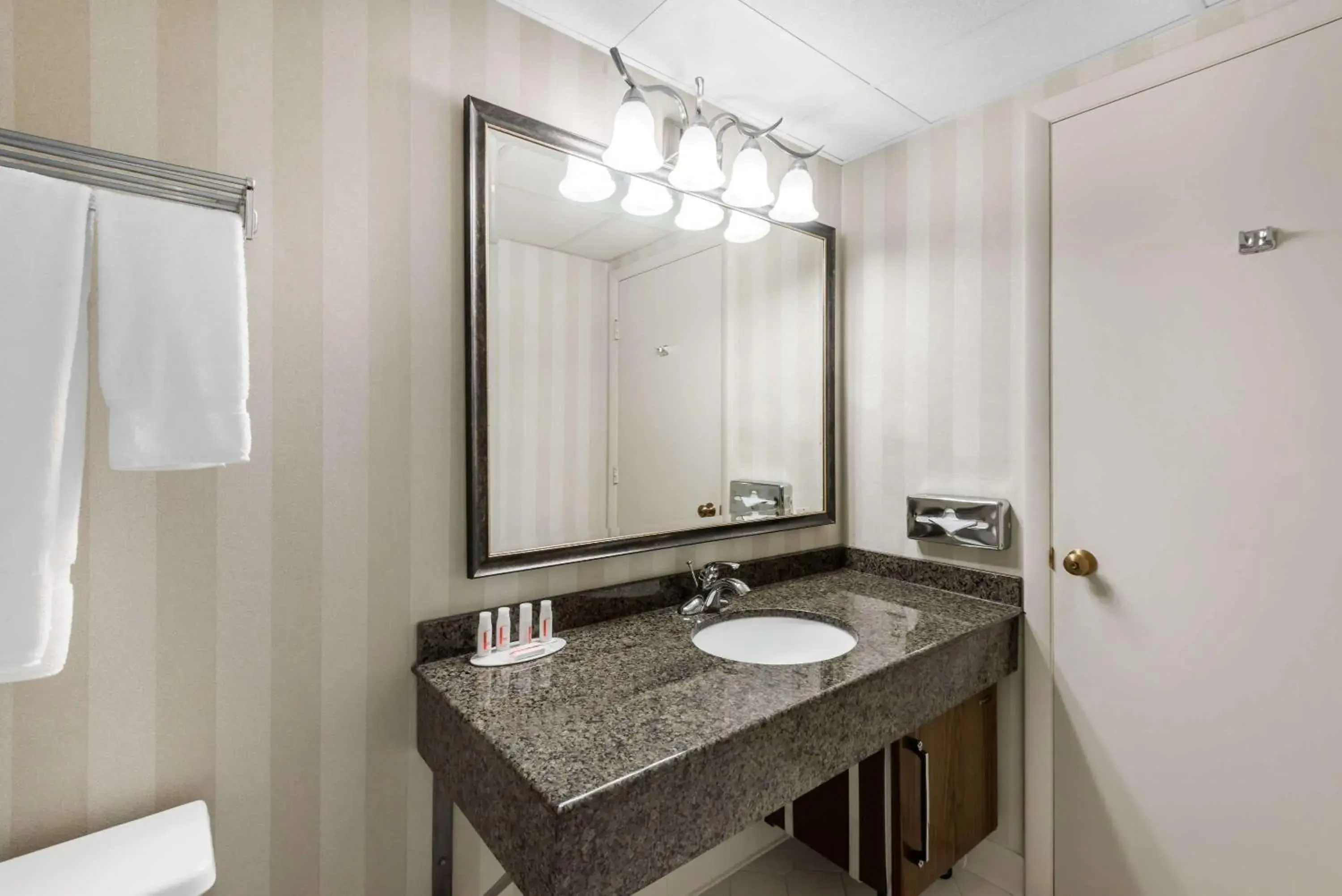 Bathroom in Ramada Plaza by Wyndham Hagerstown