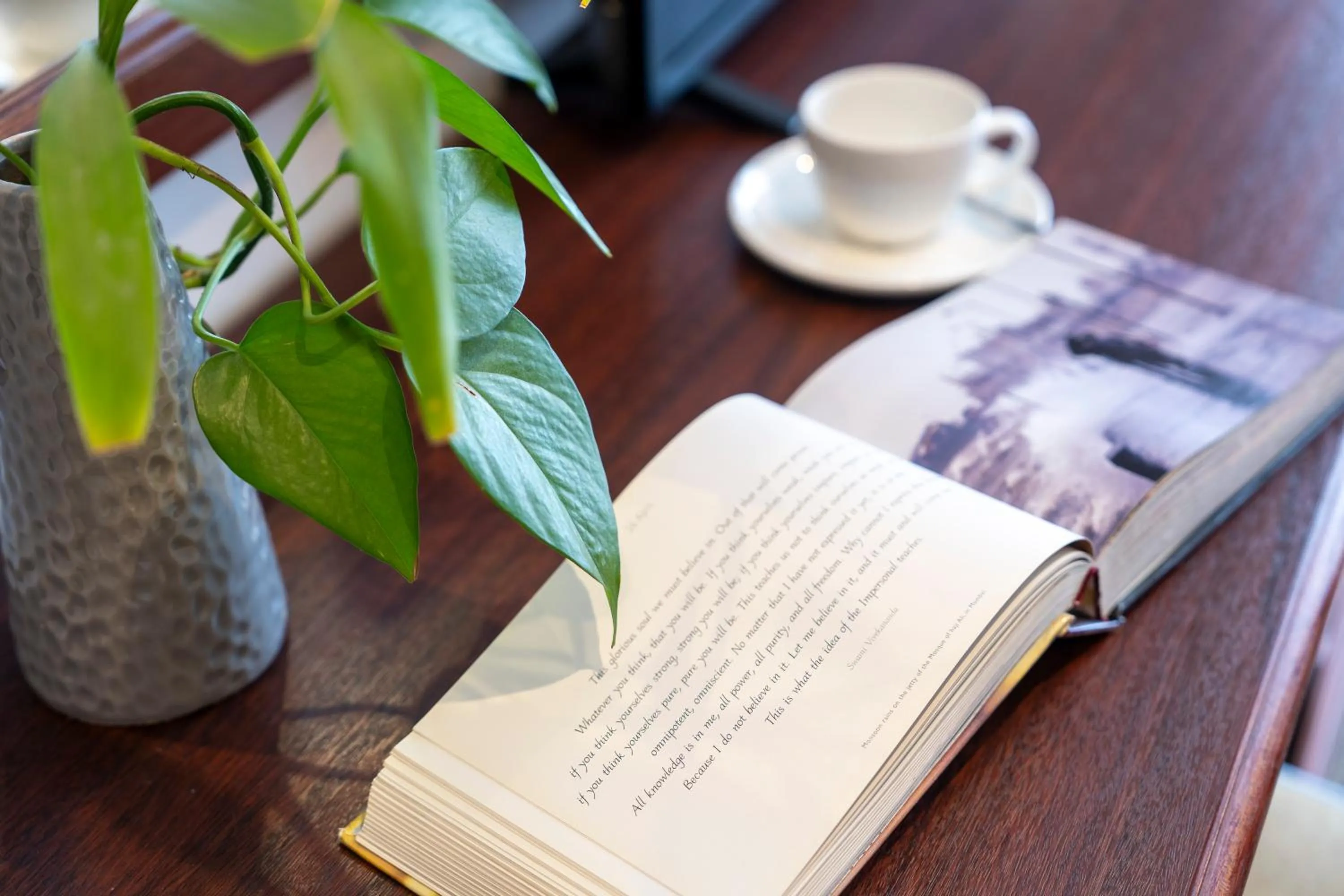 Library in Marlborough House - Guest House