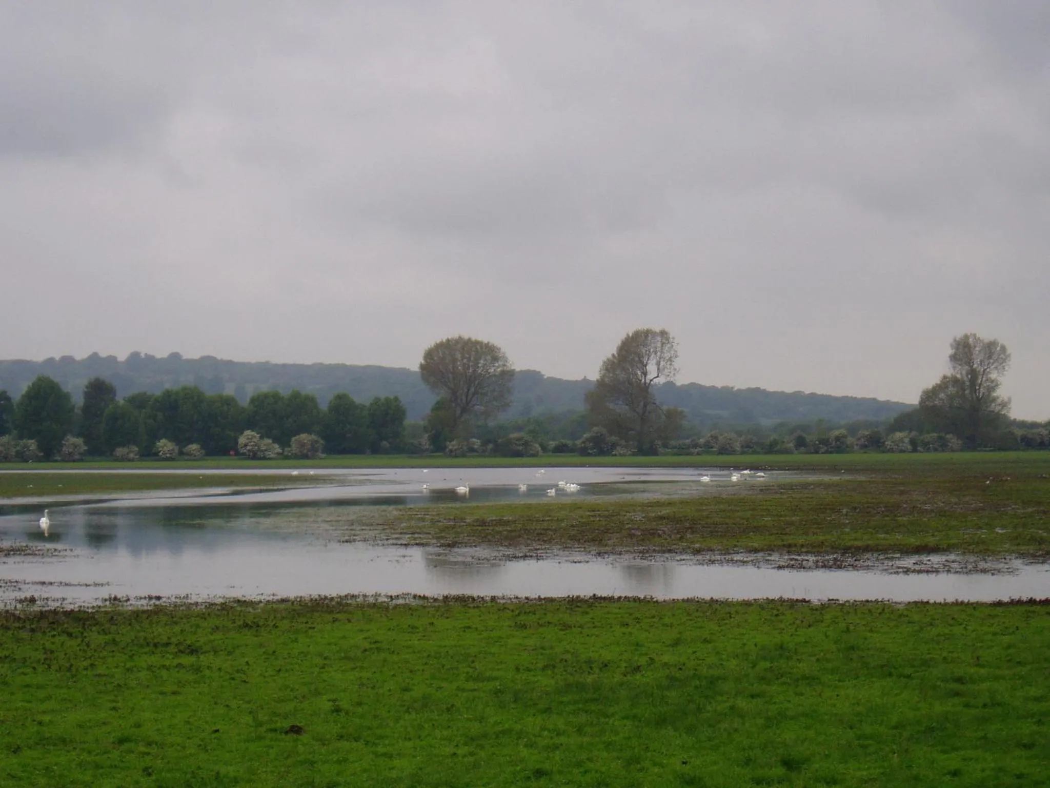Natural landscape in Marlborough House - Guest House
