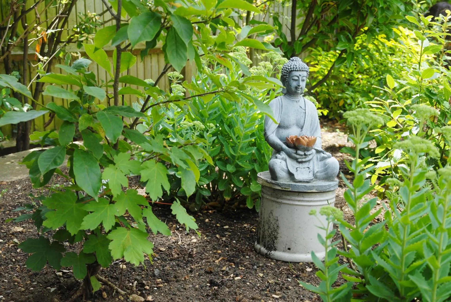 Natural landscape in Marlborough House - Guest House