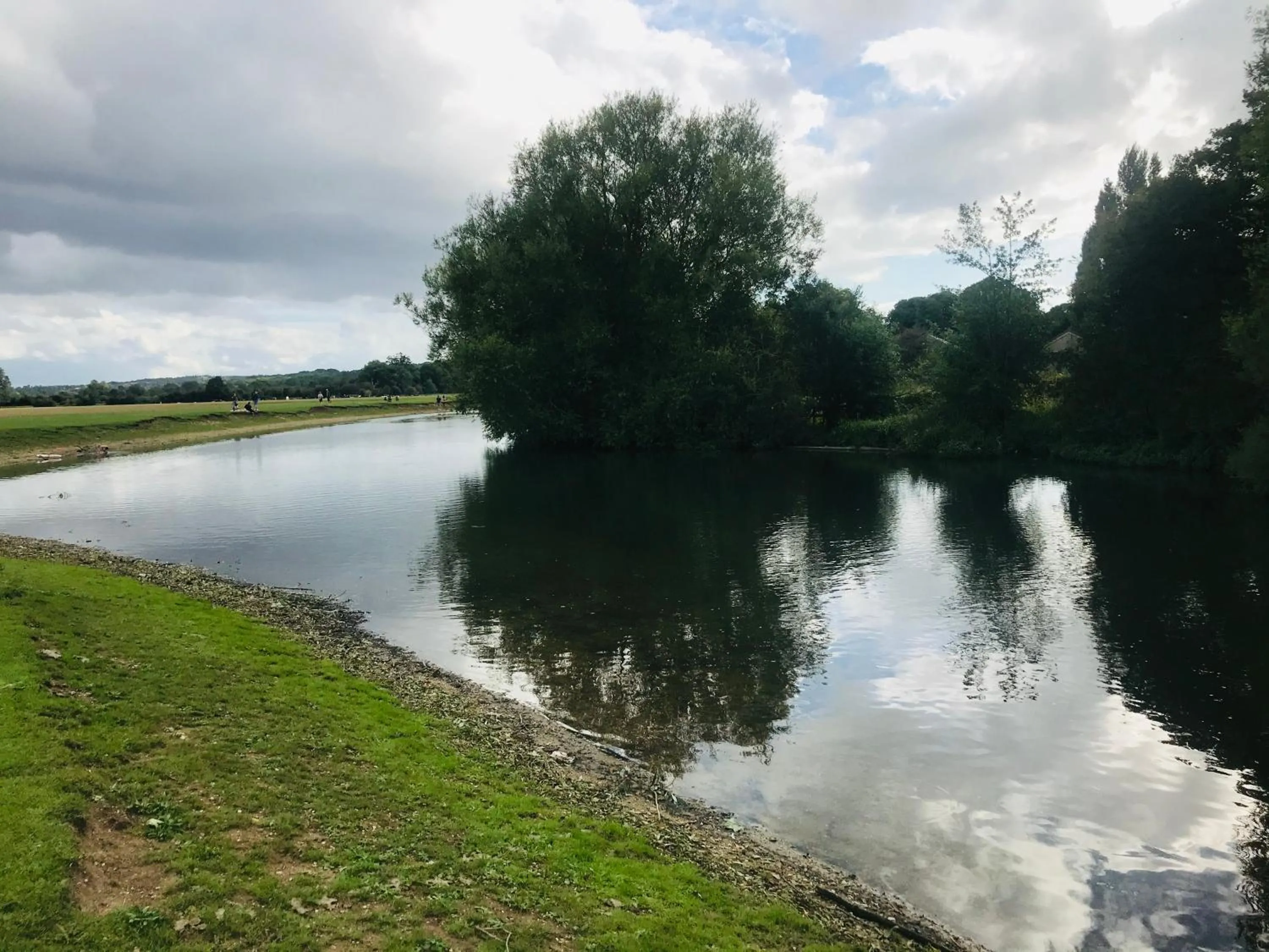 Natural landscape in Marlborough House - Guest House