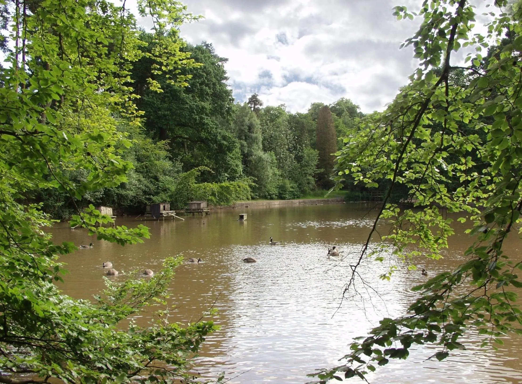 Area and facilities in Old Rose and Crown Hotel Birmingham