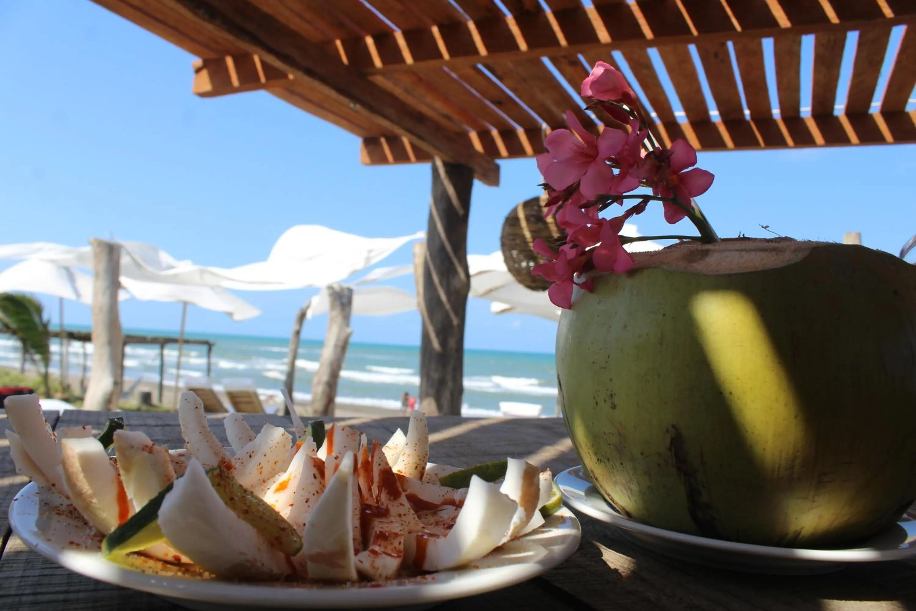 Meals in Hotel Taboga Eco Boutique & Spa Costa Esmeralda