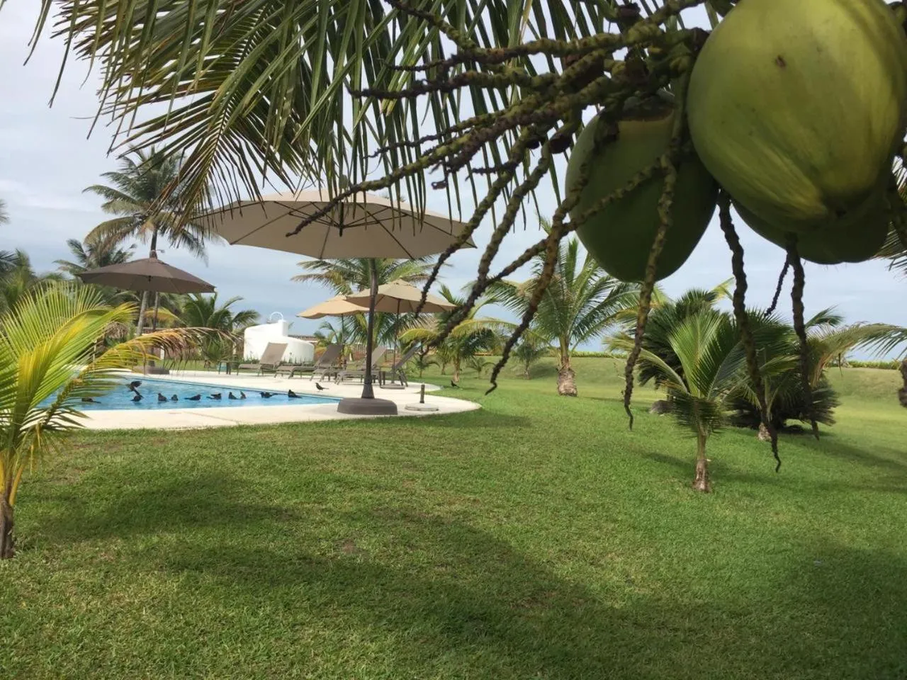 Garden in Hotel Taboga Eco Boutique & Spa Costa Esmeralda