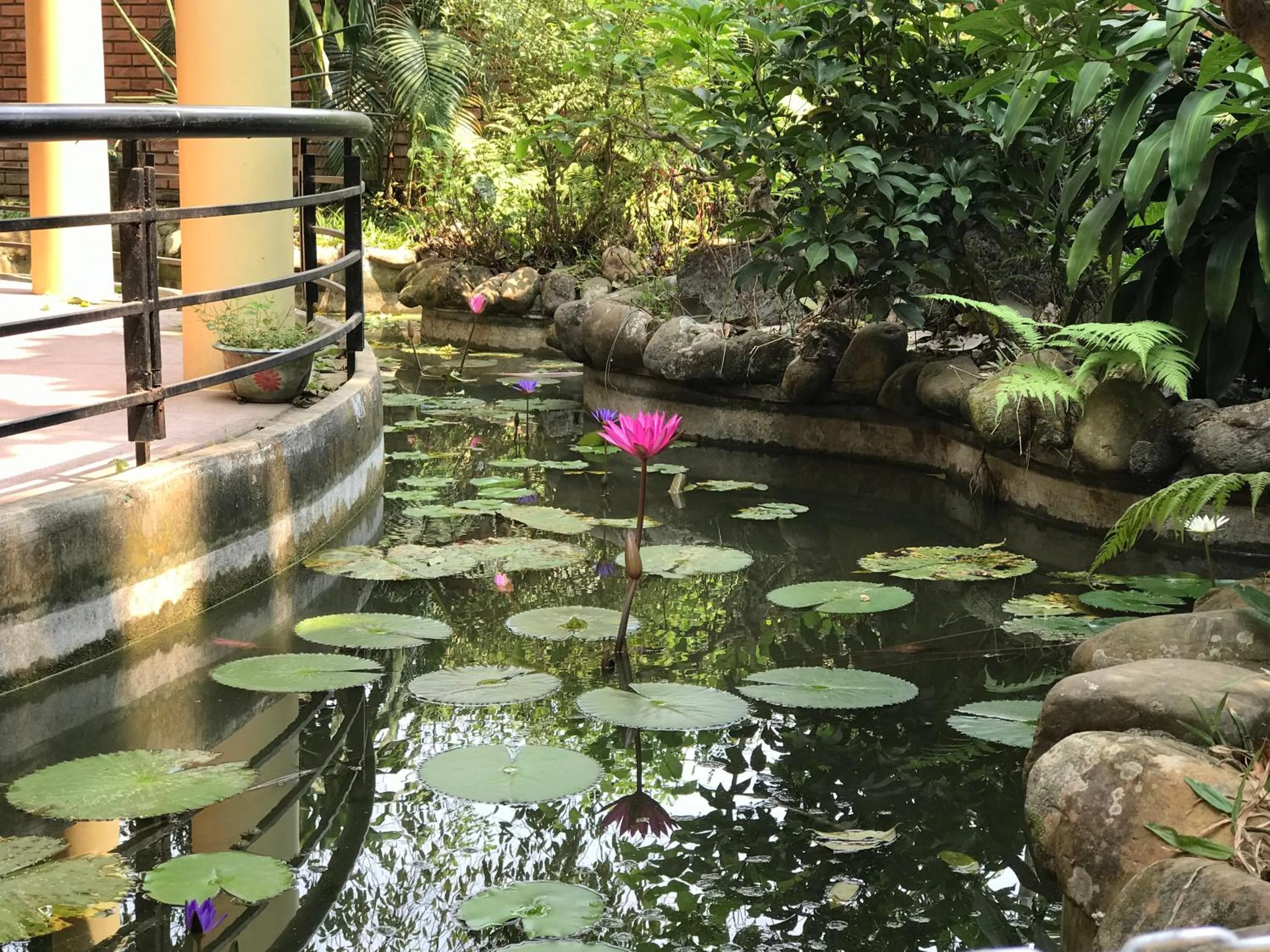 Garden in Spring Garden Villa