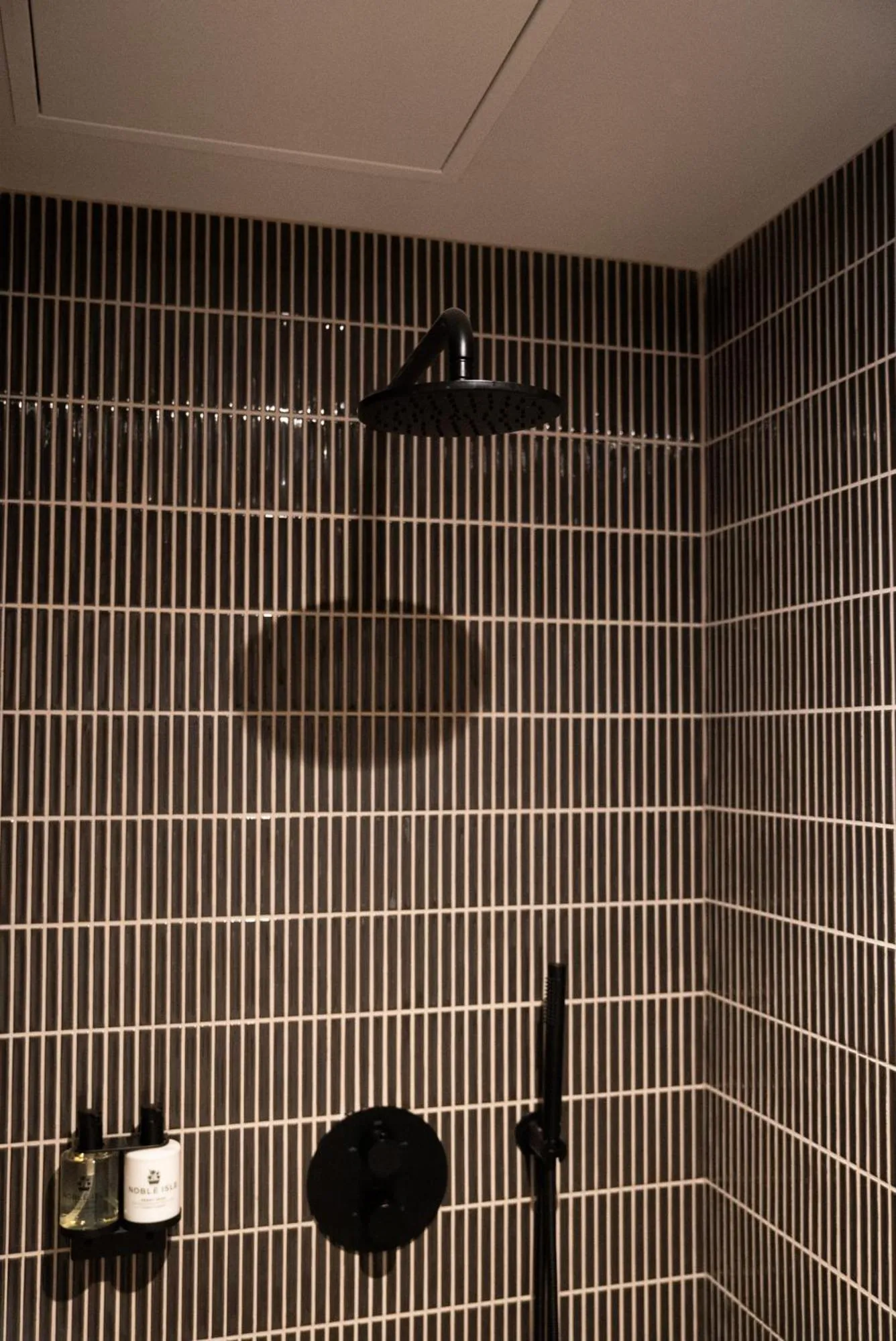 Shower in The Cae Mor Hotel