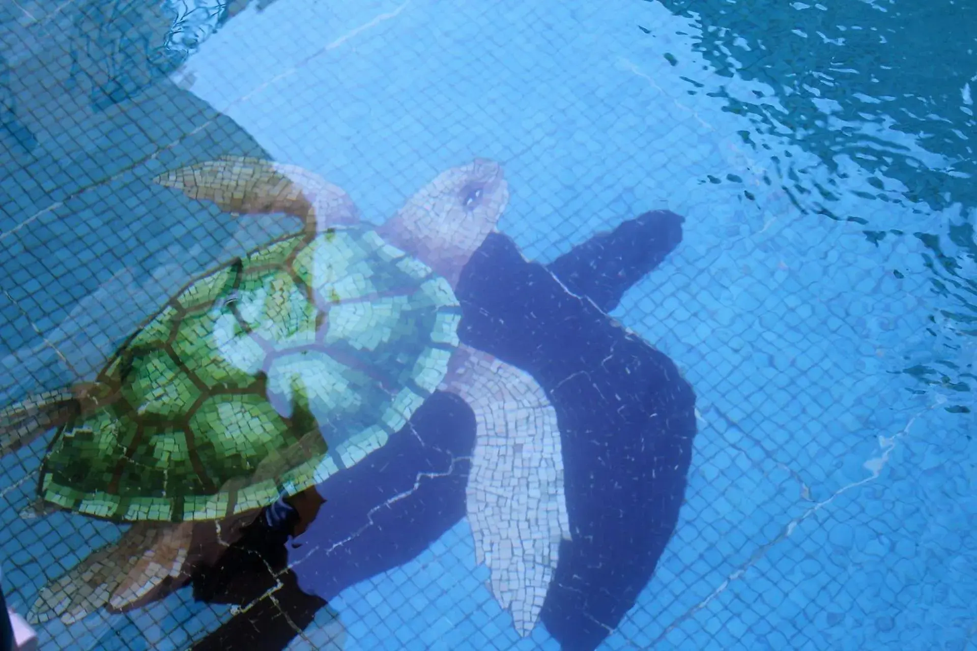 Swimming pool in Hotel Residencial Swimming pool in Hotel Residencial