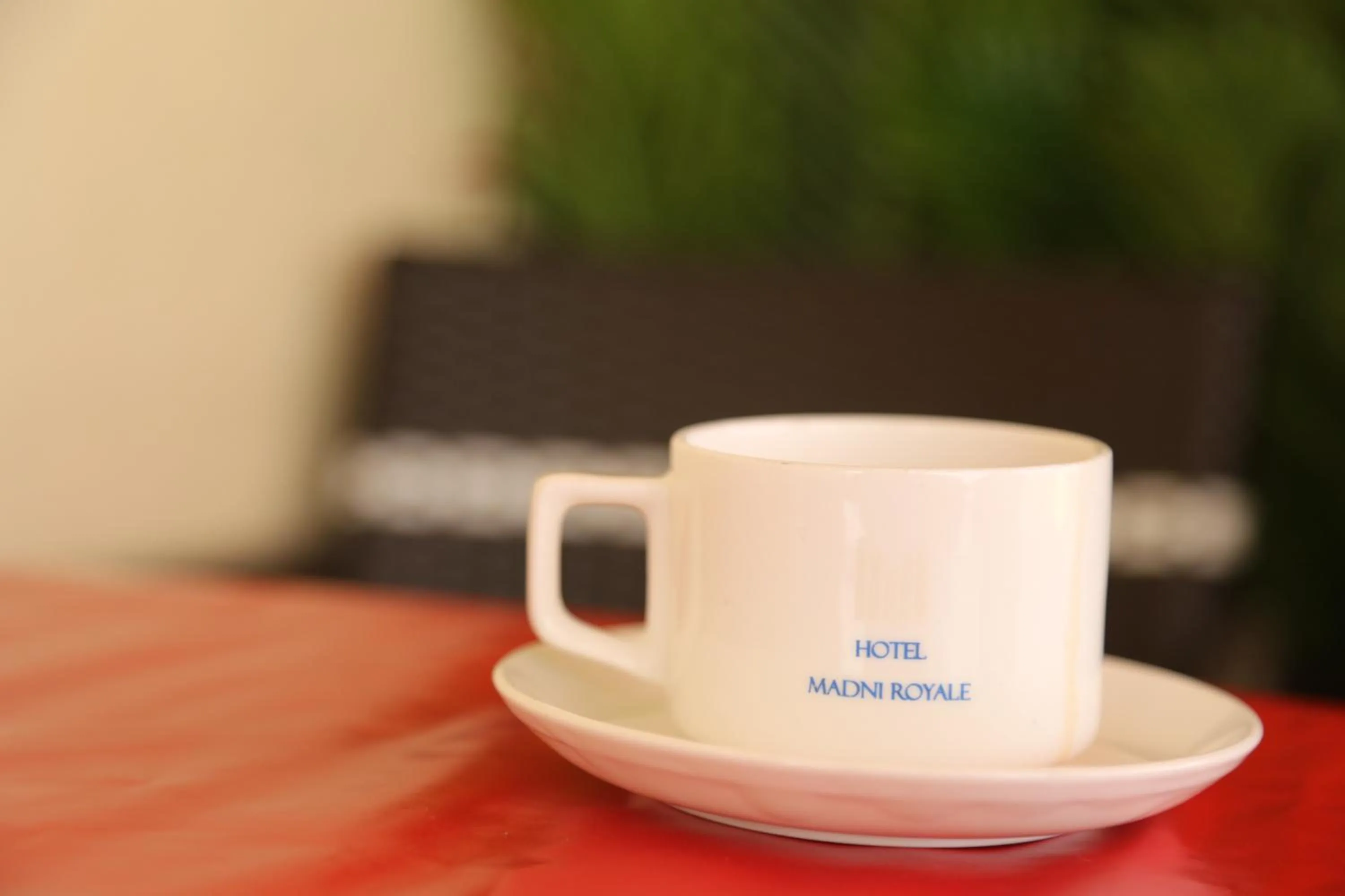 HOTEL MADNI ROYALE (50 Mtrs from Dargaah), Ajmer