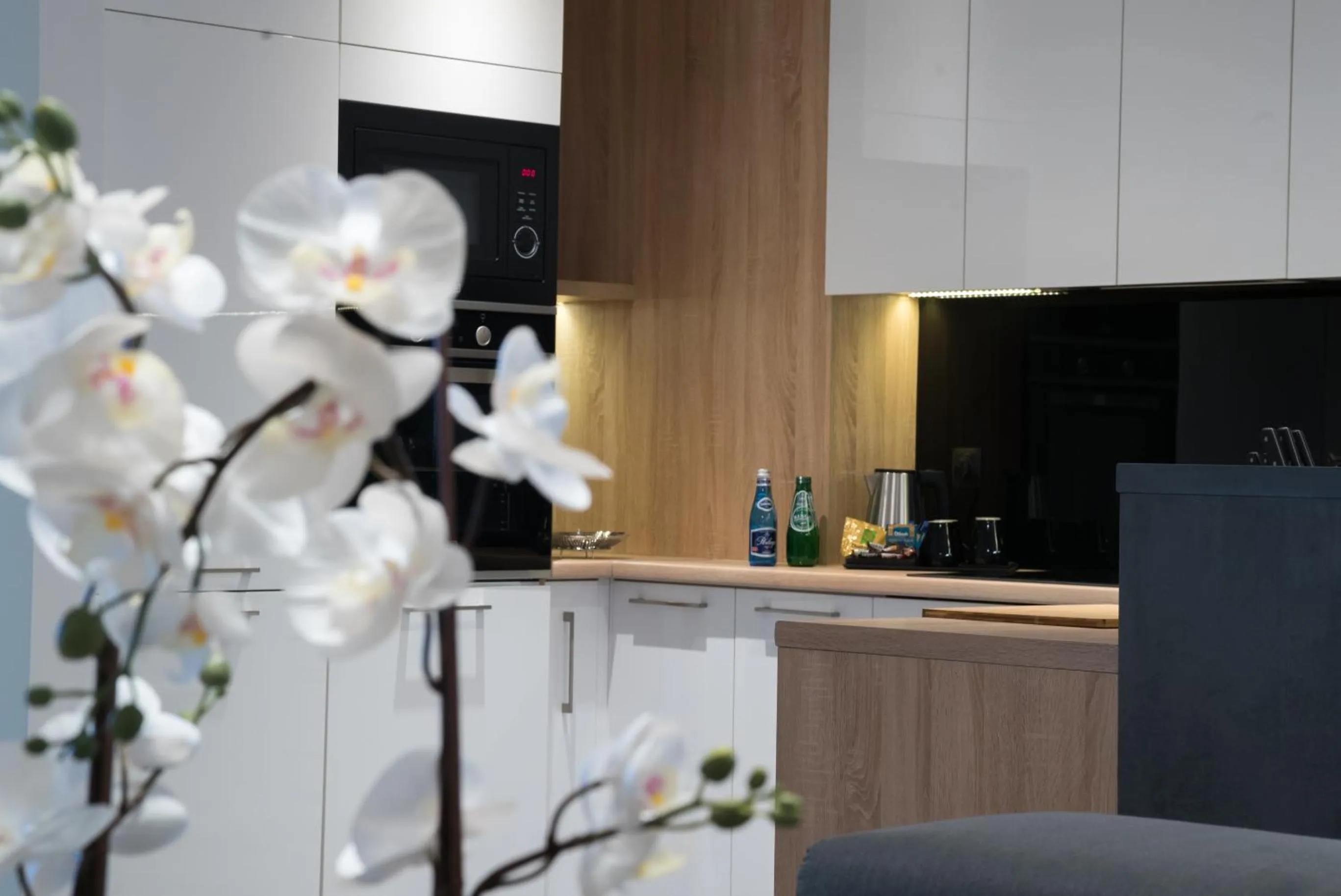 Kitchen or kitchenette in Apart-Hotel VIVI RESIDENCE & SPA