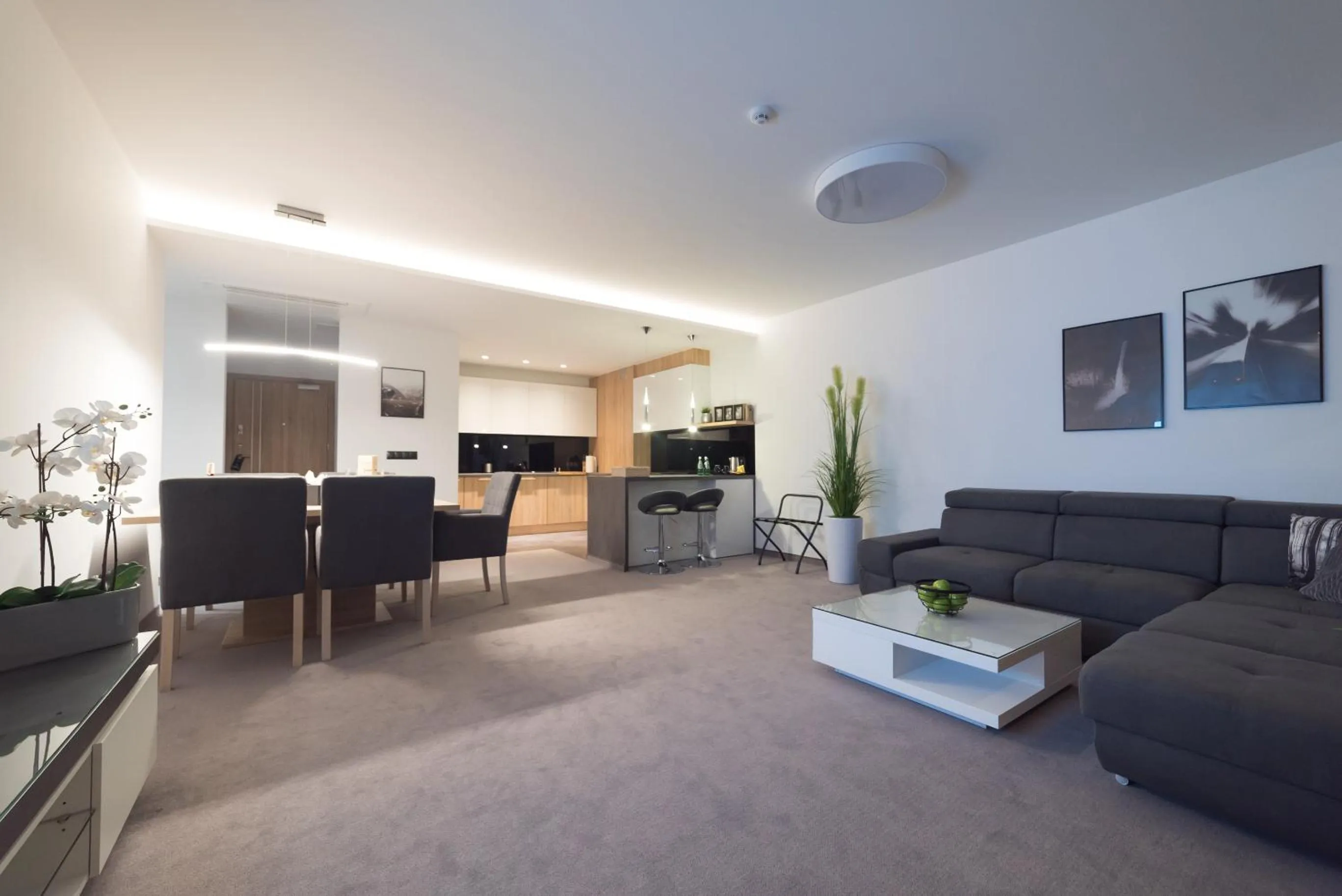 Kitchen or kitchenette in Apart-Hotel VIVI RESIDENCE & SPA