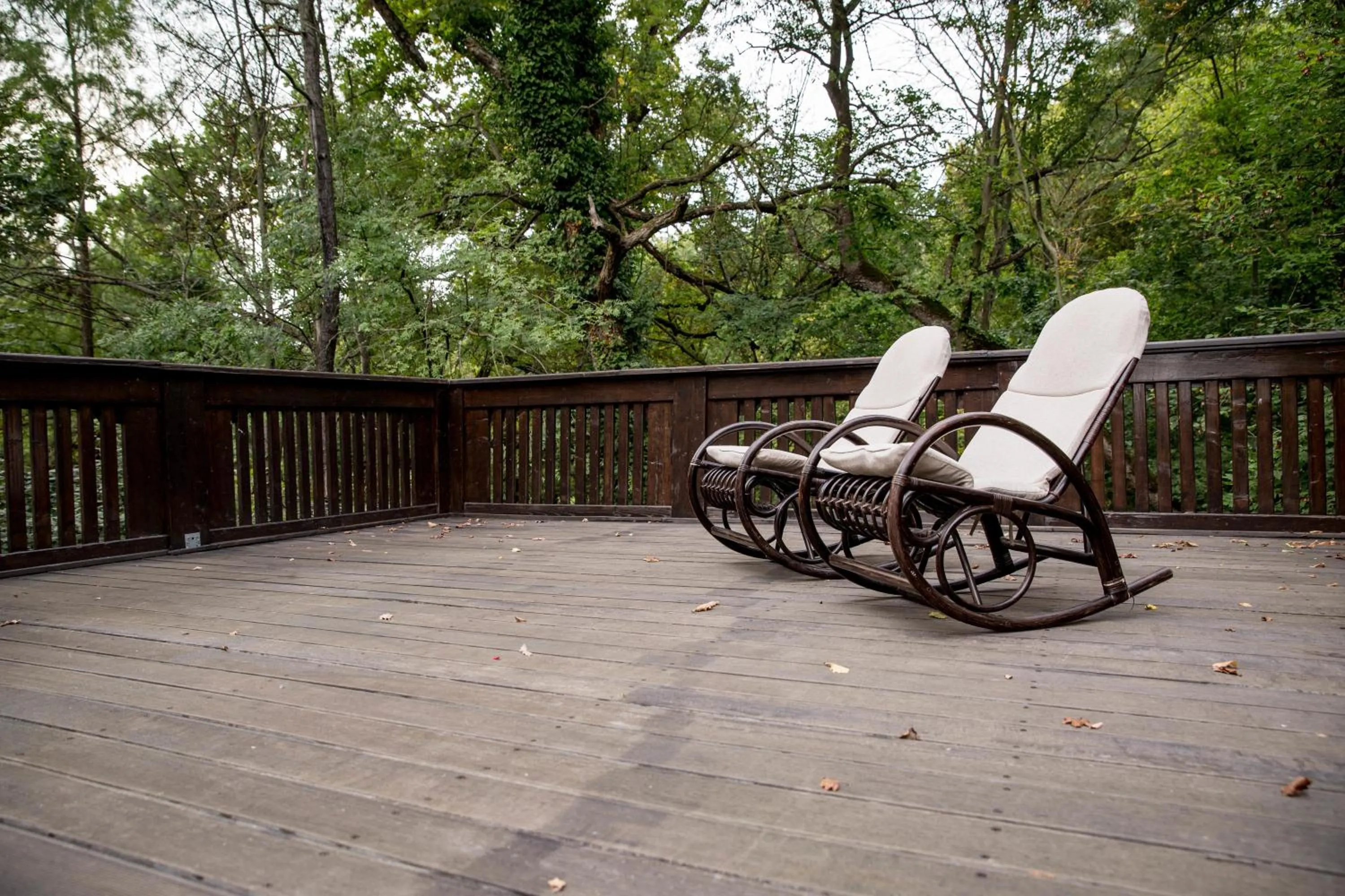 Balcony/Terrace in Hotel Stejarul
