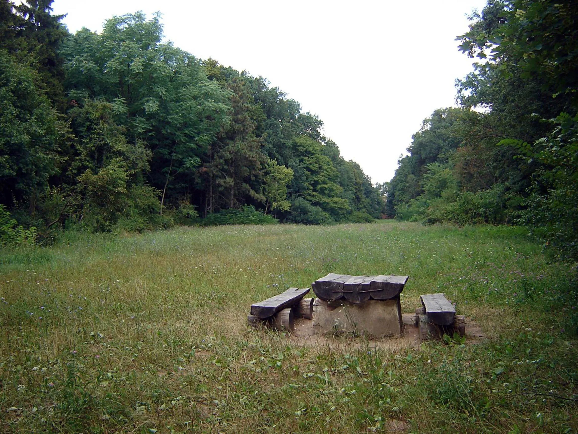 Area and facilities in Hotel Stejarul