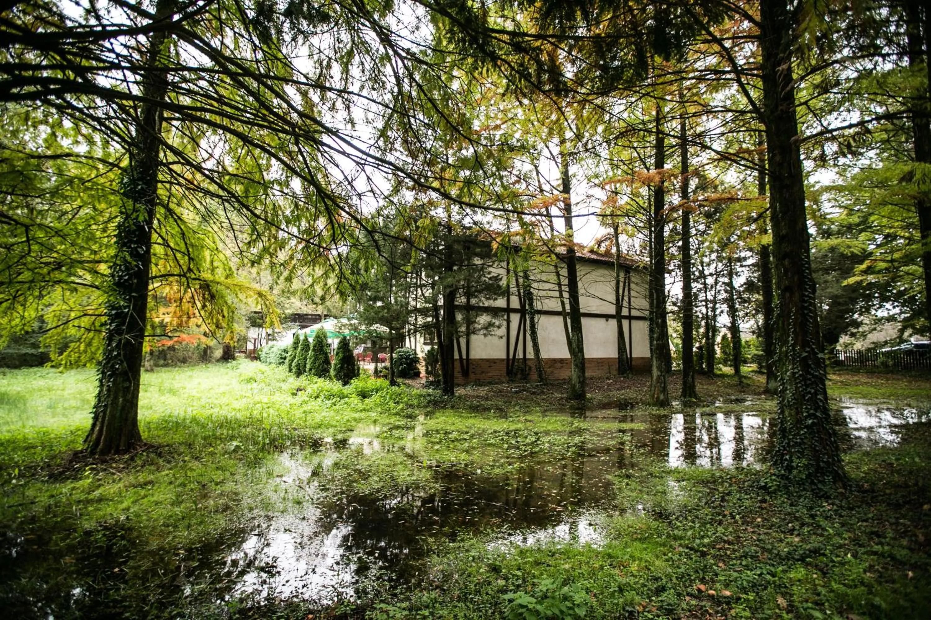 Area and facilities in Hotel Stejarul