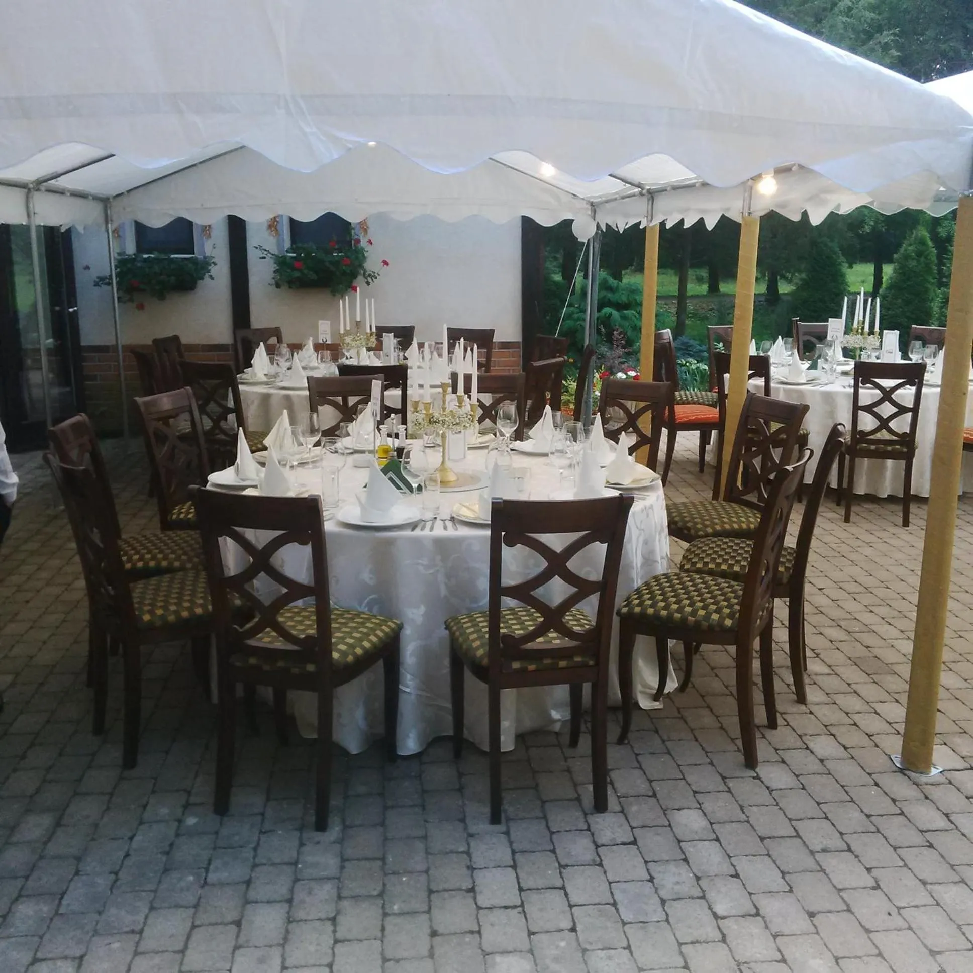 Garden in Hotel Stejarul