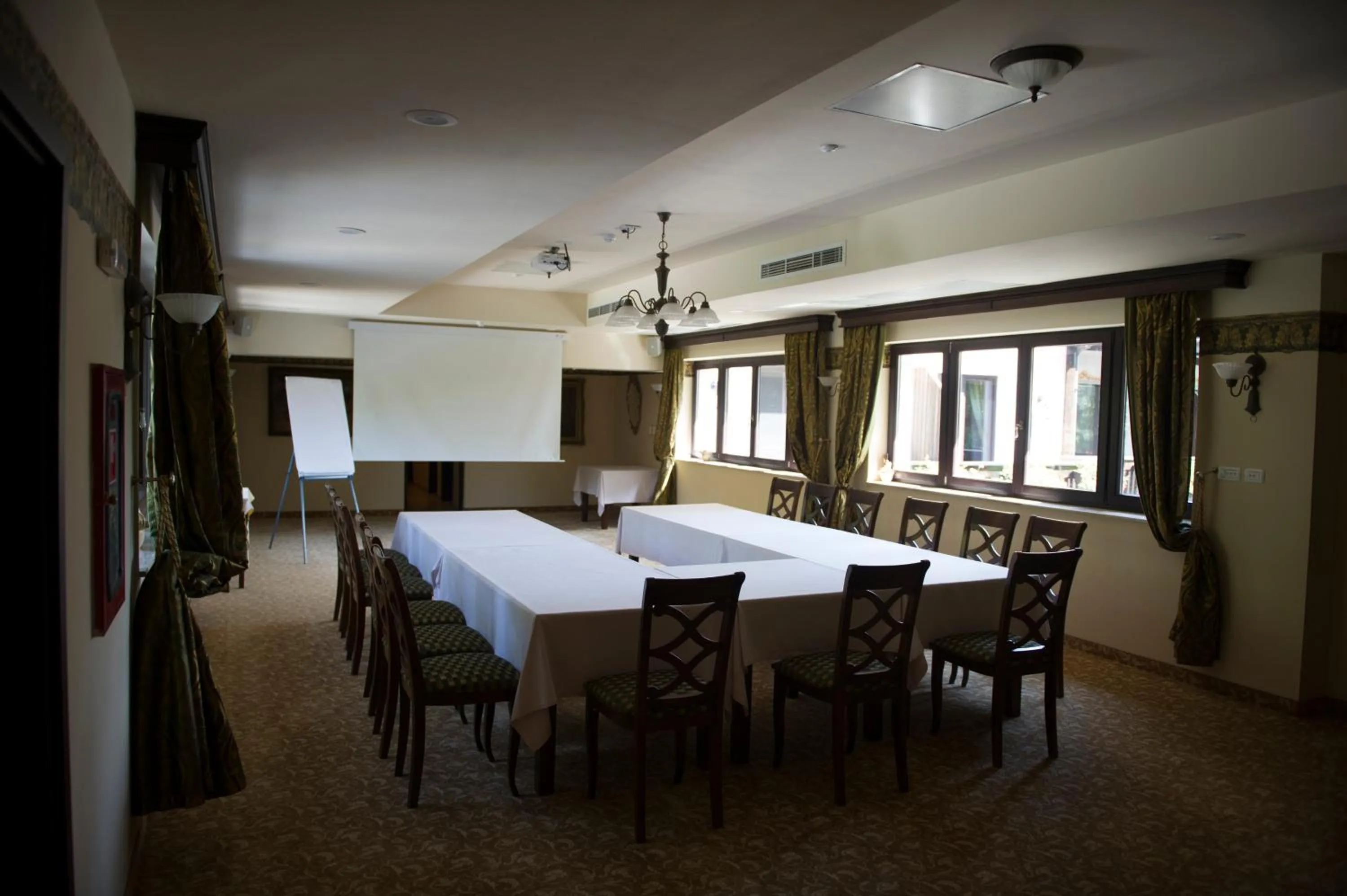 Meeting/conference room in Hotel Stejarul
