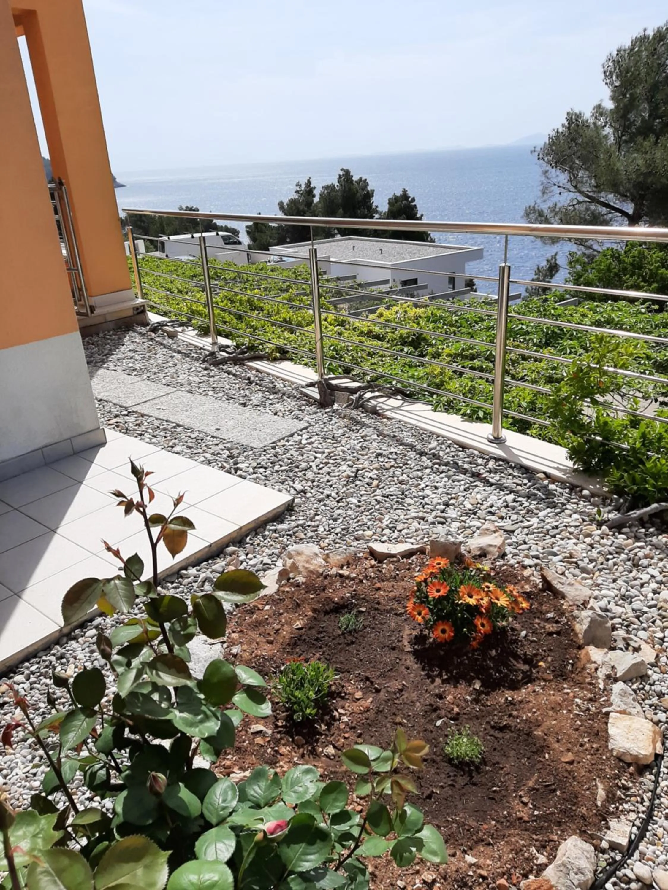 Garden view in Apartments Martina