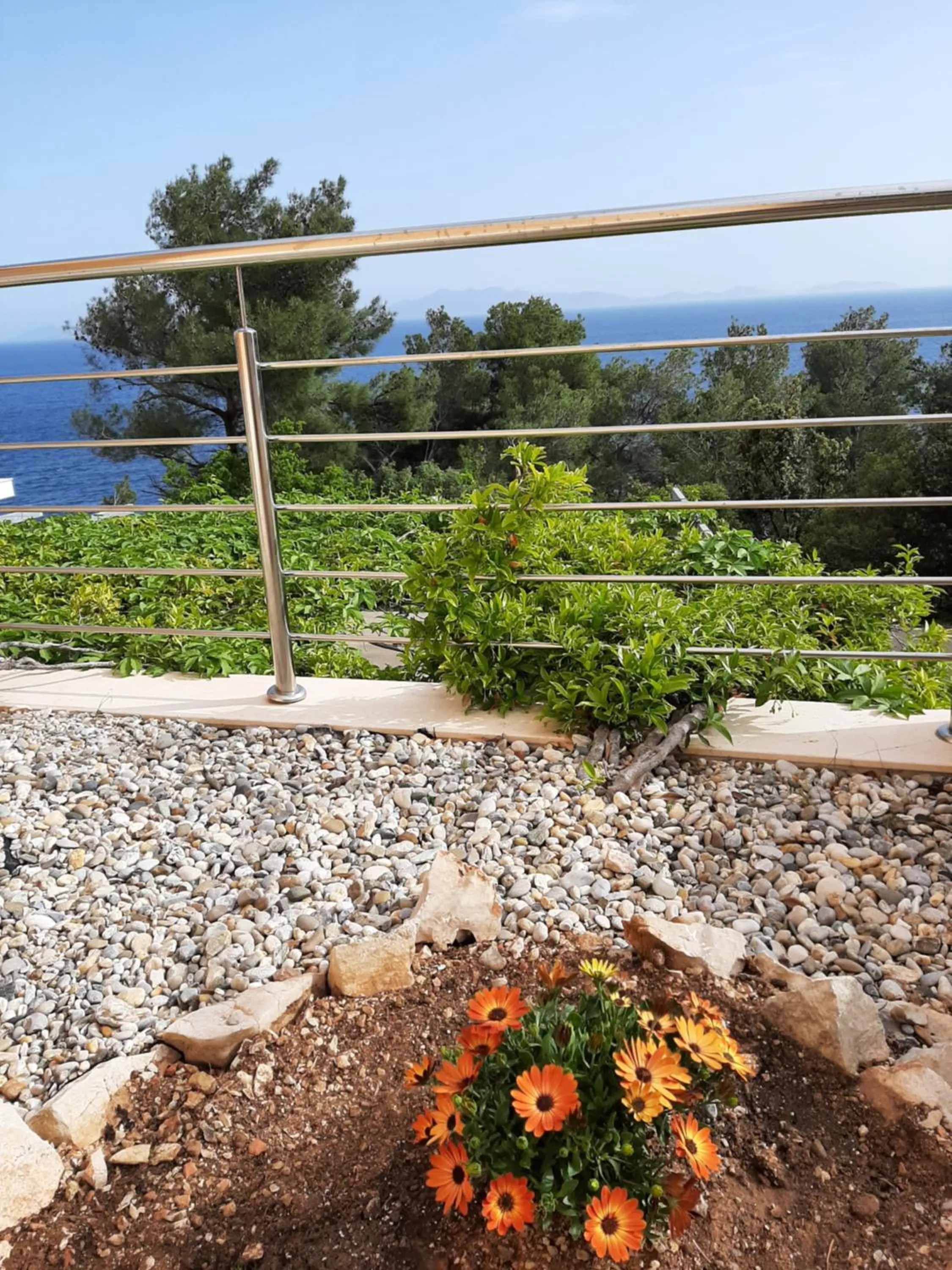 Garden in Apartments Martina