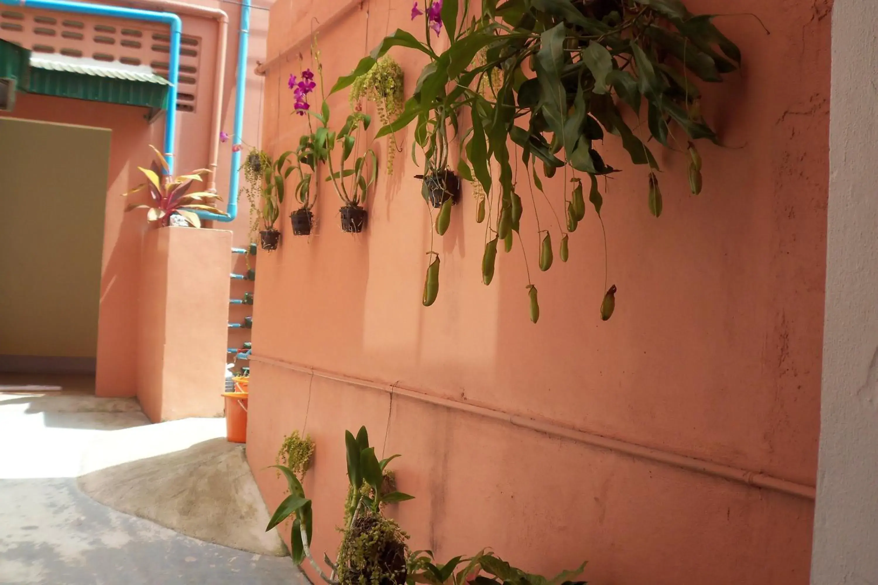 Property building in D's Corner & Guesthouse Property building in D's Corner & Guesthouse