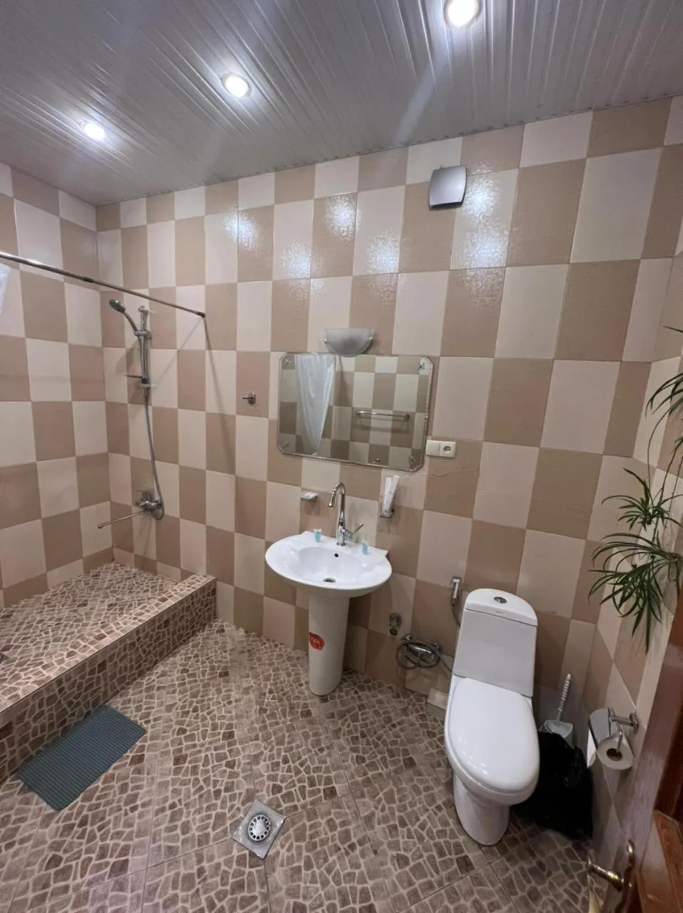 Shower, Bathroom in Georgian House