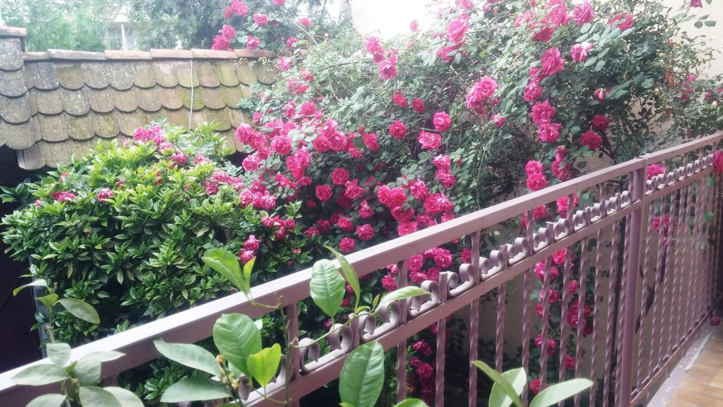 Day in Georgian House