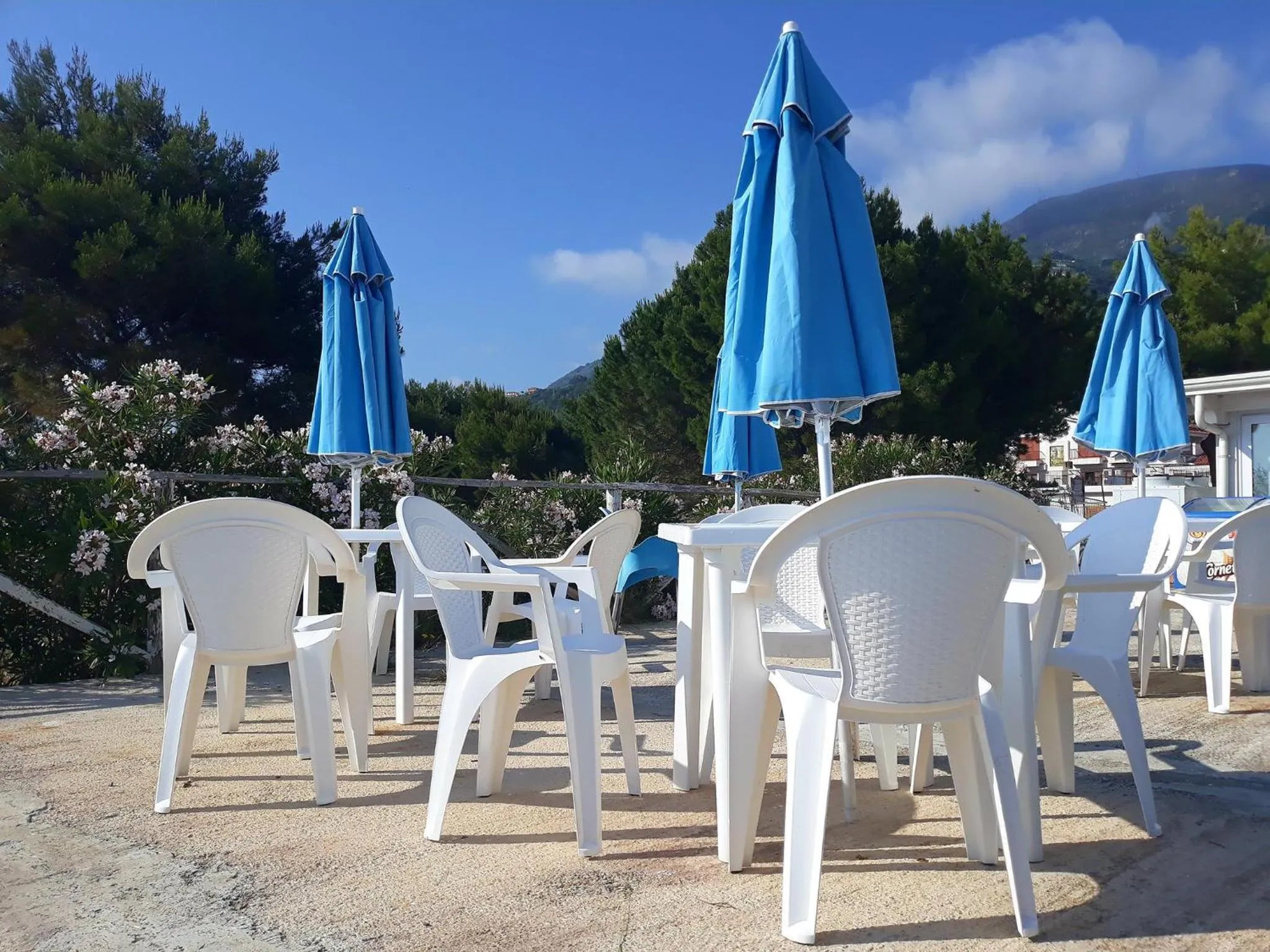 Garden in Yachting Club Mare