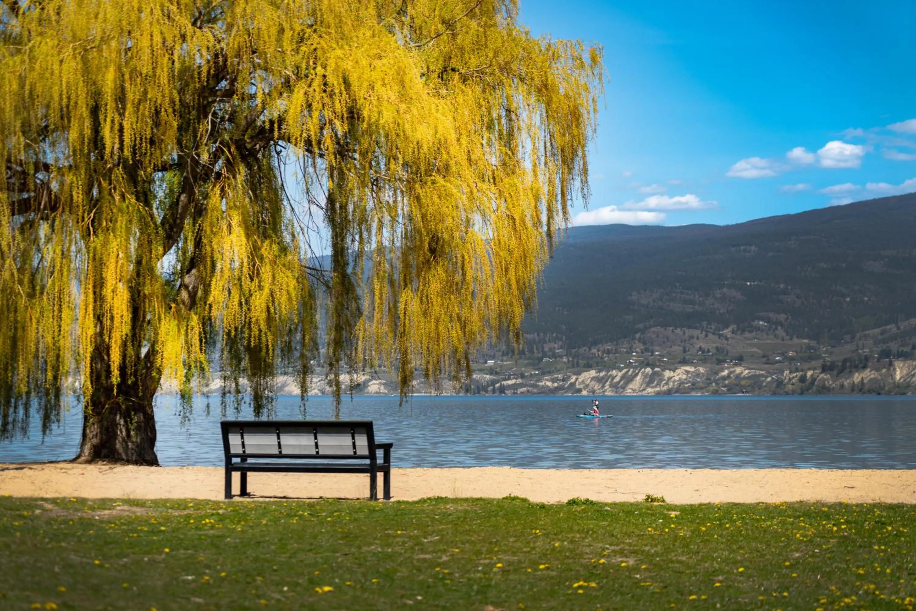 Beach in Okanagan Lakefront Resort