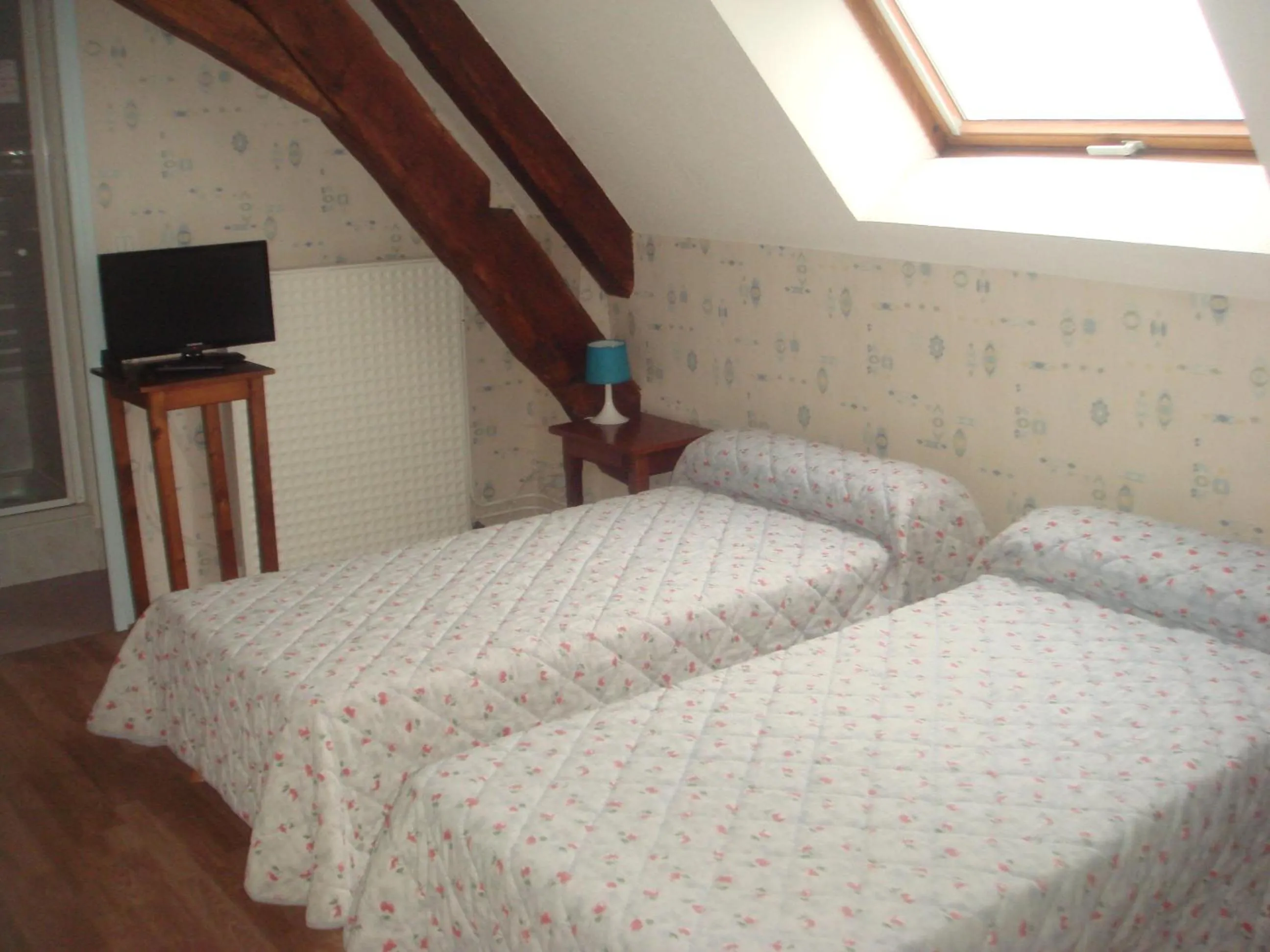 Twin Room in Moulin de Bourgchateau