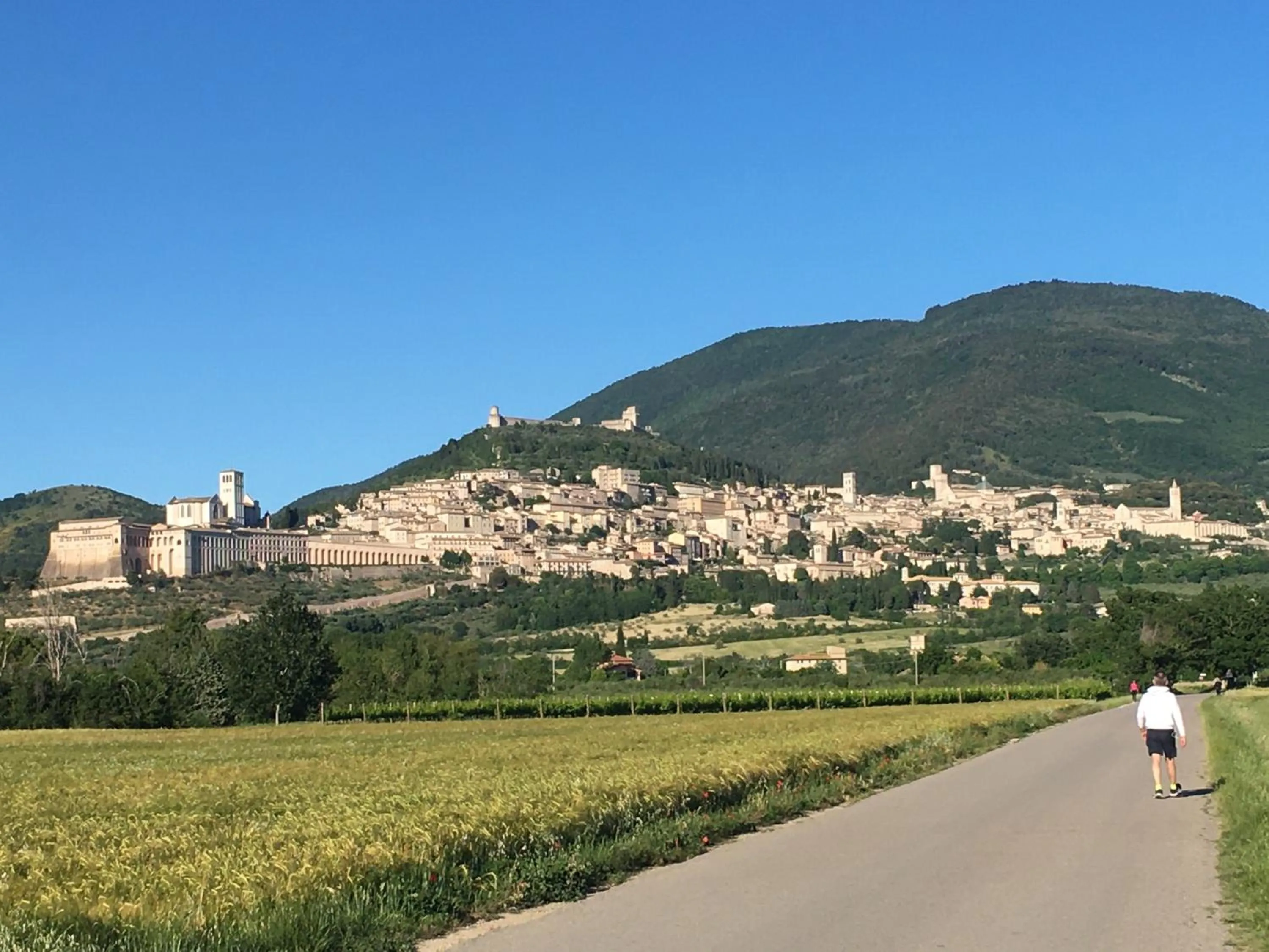 Other in B&B Raffiori