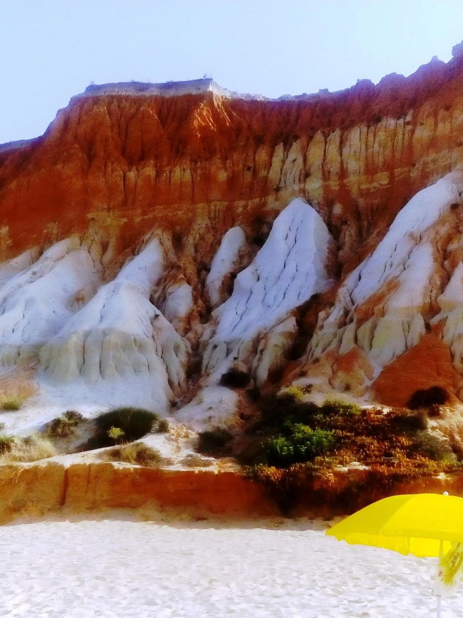 Natural landscape in Apartamentos Flor da Laranja, Albufeira by AlgarveBlossom