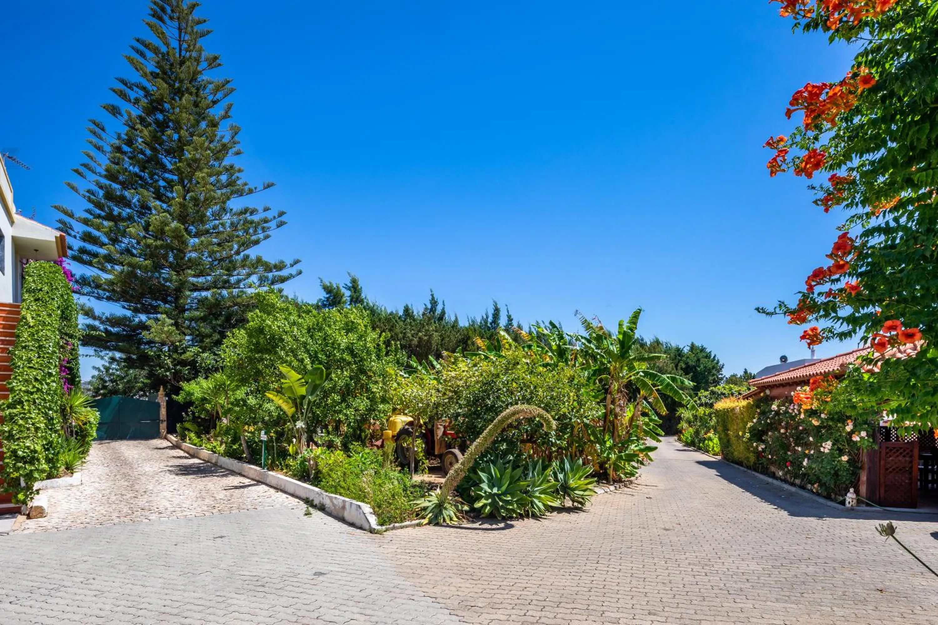 Garden in Apartamentos Flor da Laranja, Albufeira by AlgarveBlossom