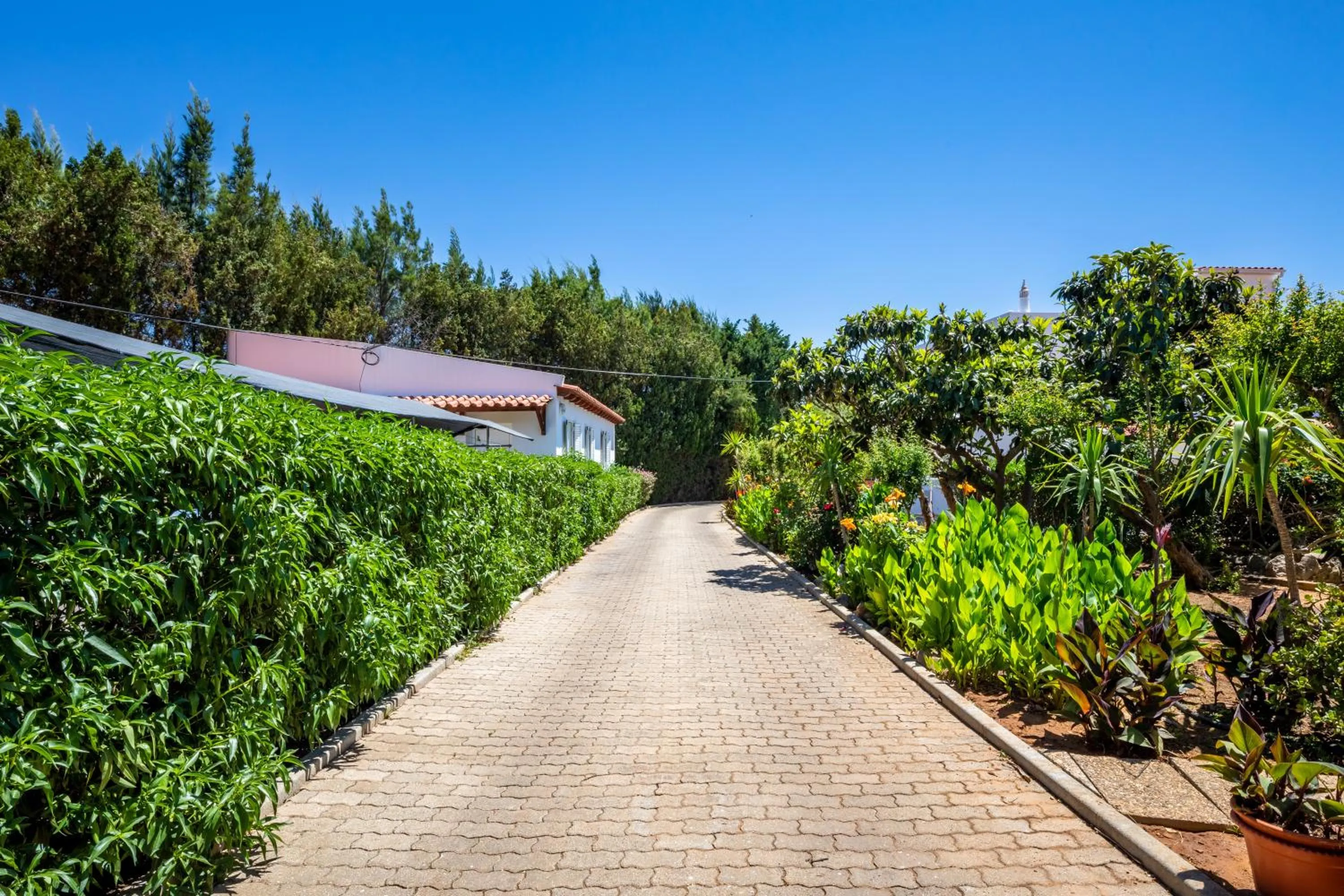 Garden in Apartamentos Flor da Laranja, Albufeira by AlgarveBlossom
