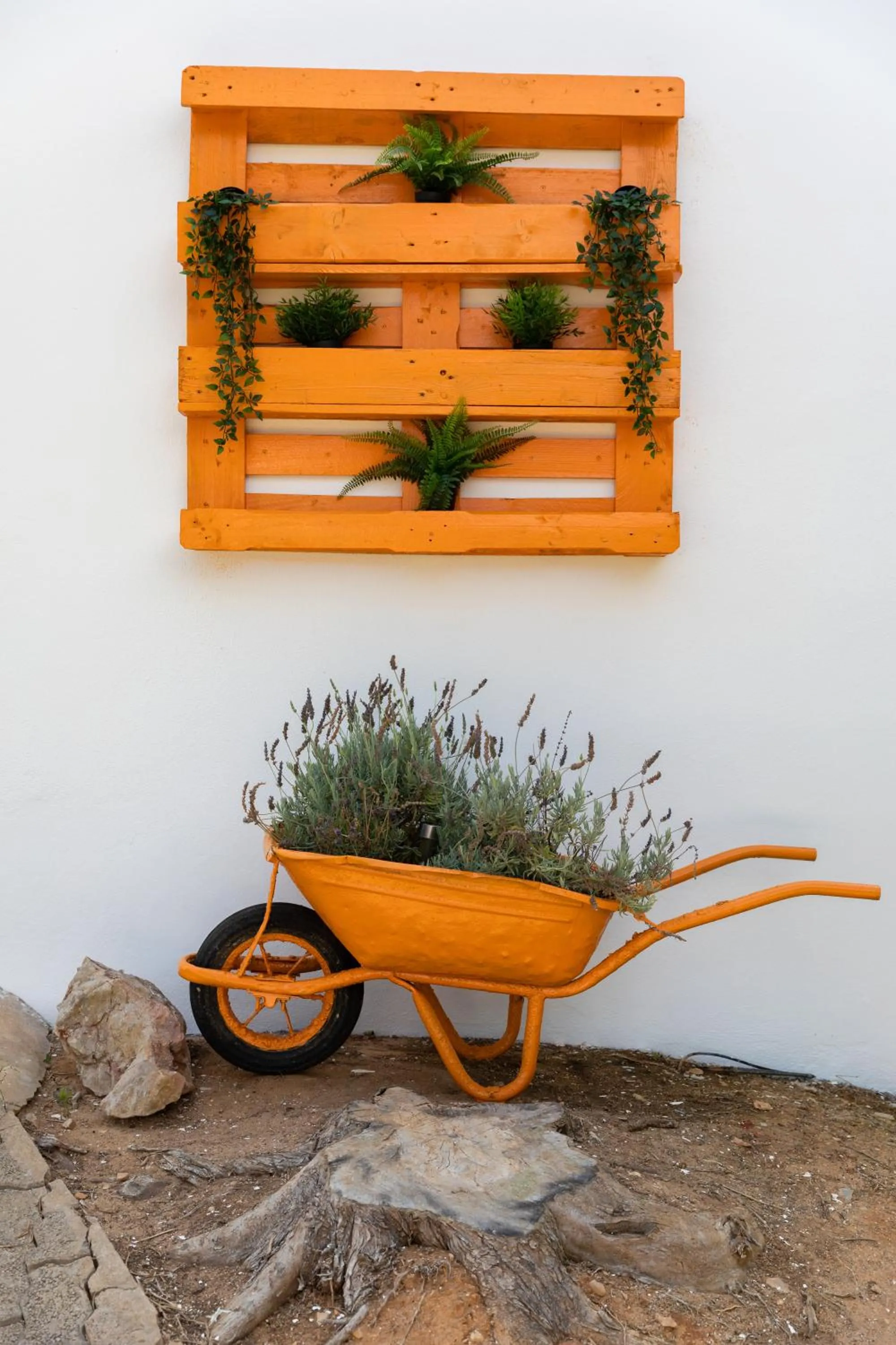 Garden in Apartamentos Flor da Laranja, Albufeira by AlgarveBlossom