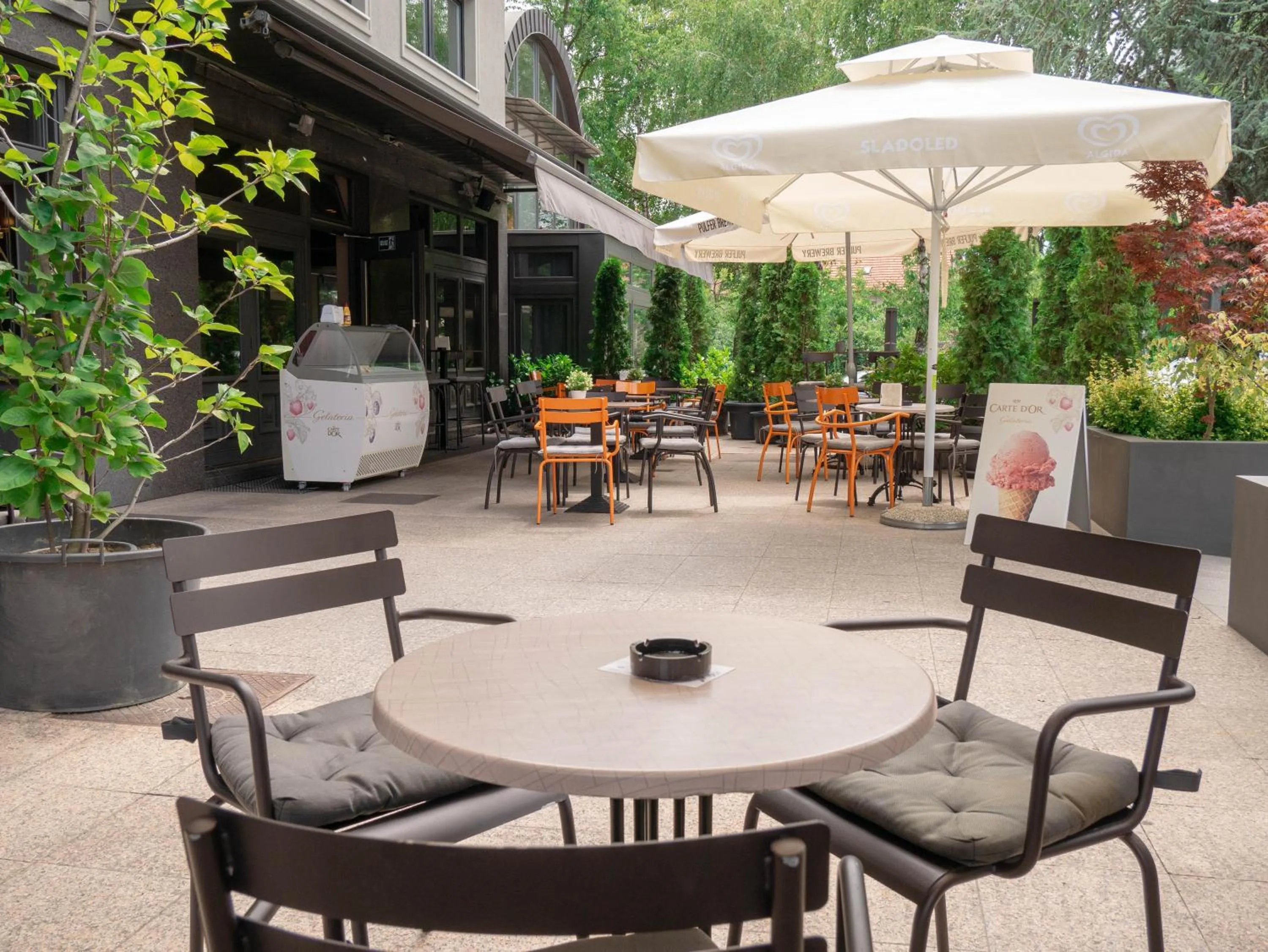 Restaurant/places to eat in Hotel Vienna