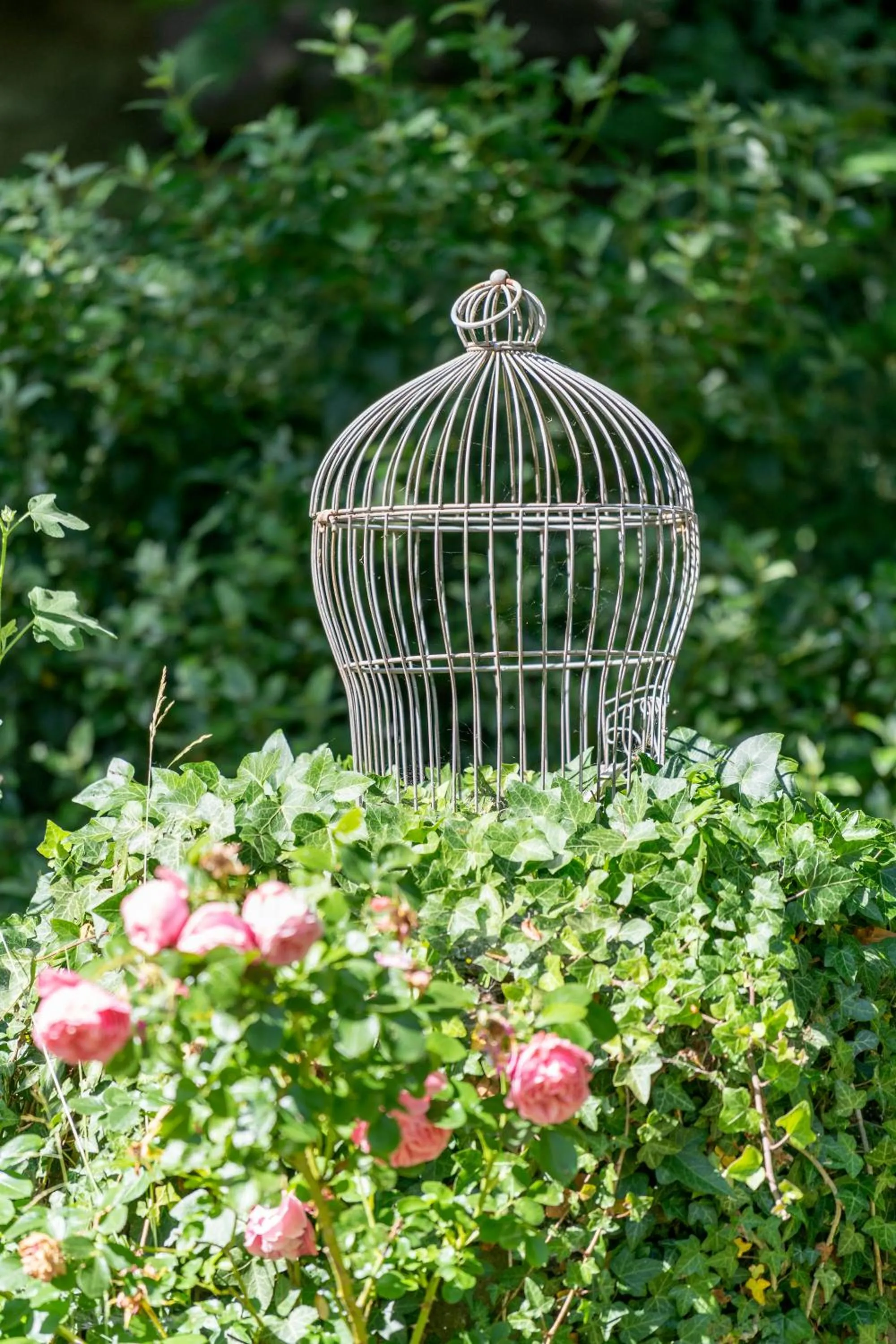 Garden in Domaine de la Course