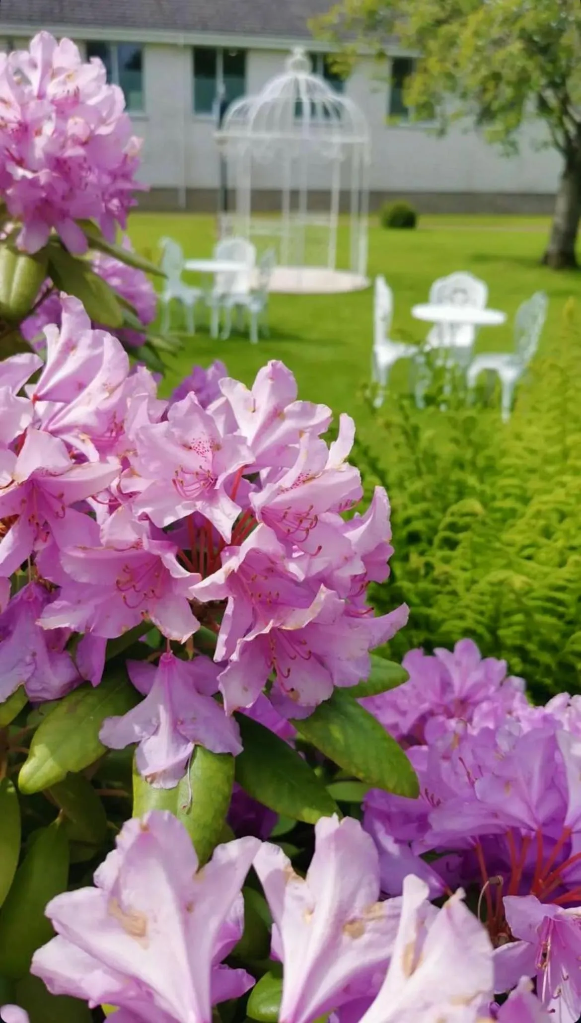 Garden in The Popinjay Hotel