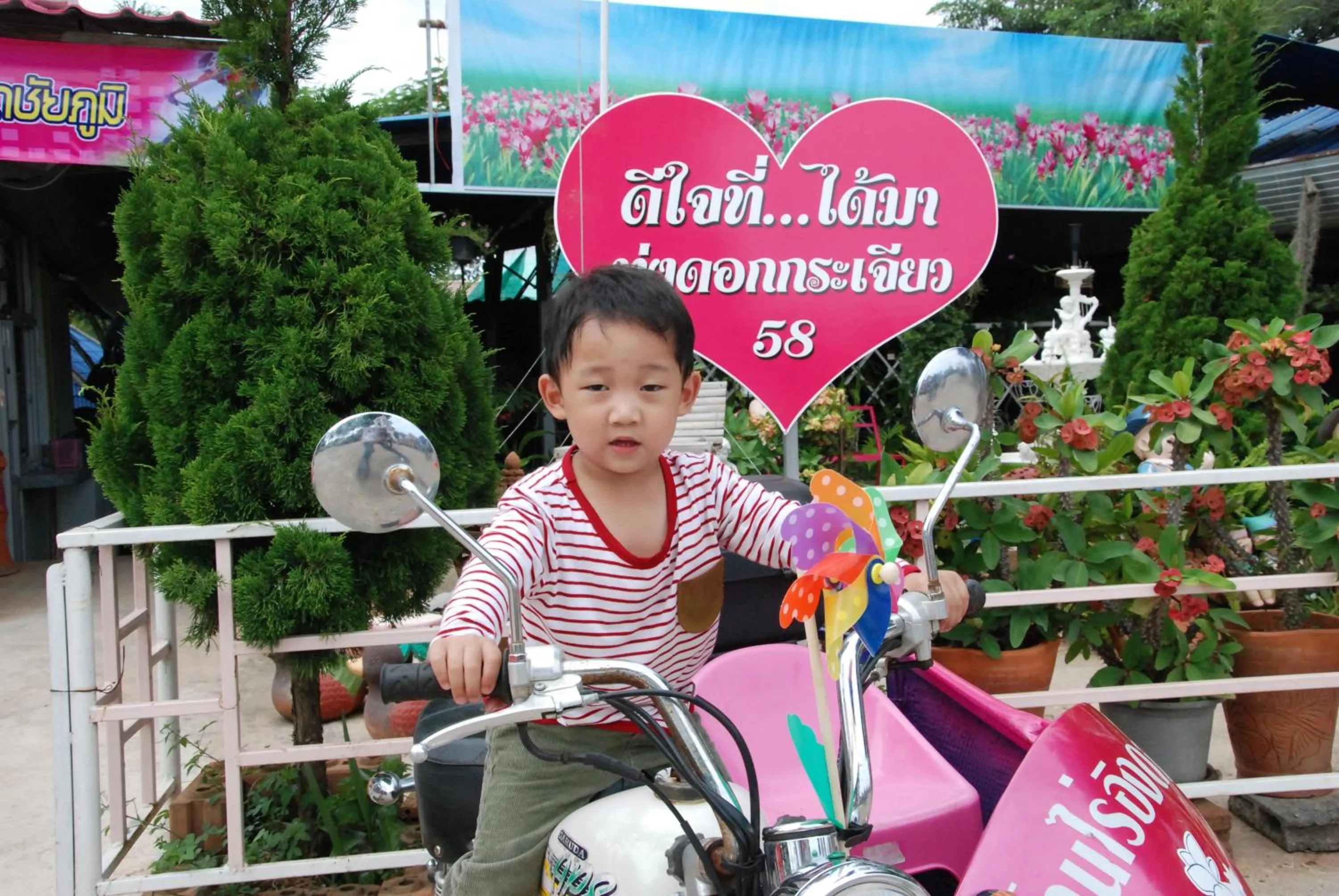 Property building in ฺBaan Rai Ing Doi
