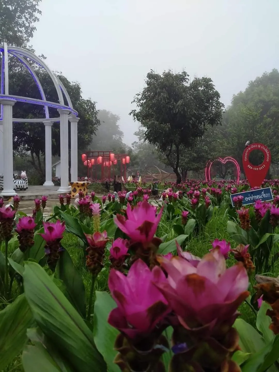 ฺBaan Rai Ing Doi