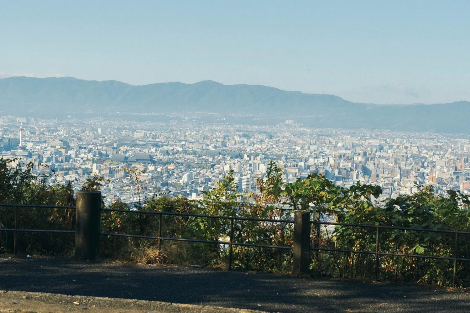 Neighbourhood in Gojo Guest House