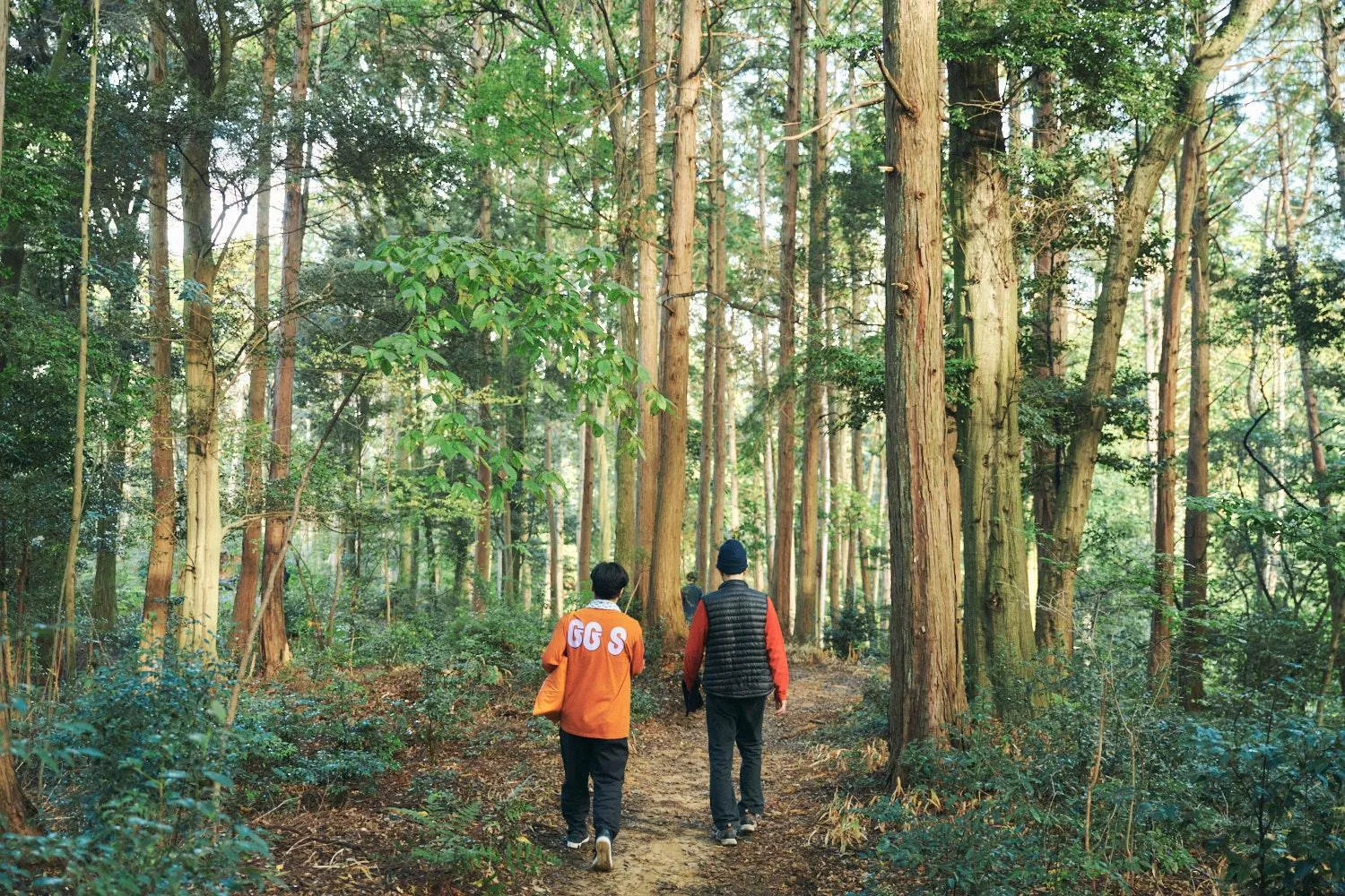 Neighbourhood in Gojo Guest House