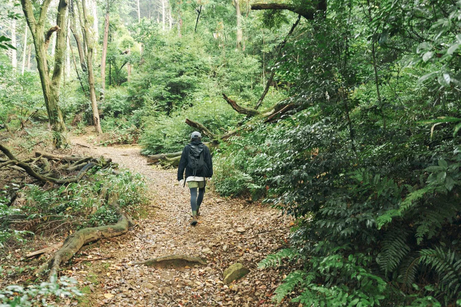 Neighbourhood in Gojo Guest House