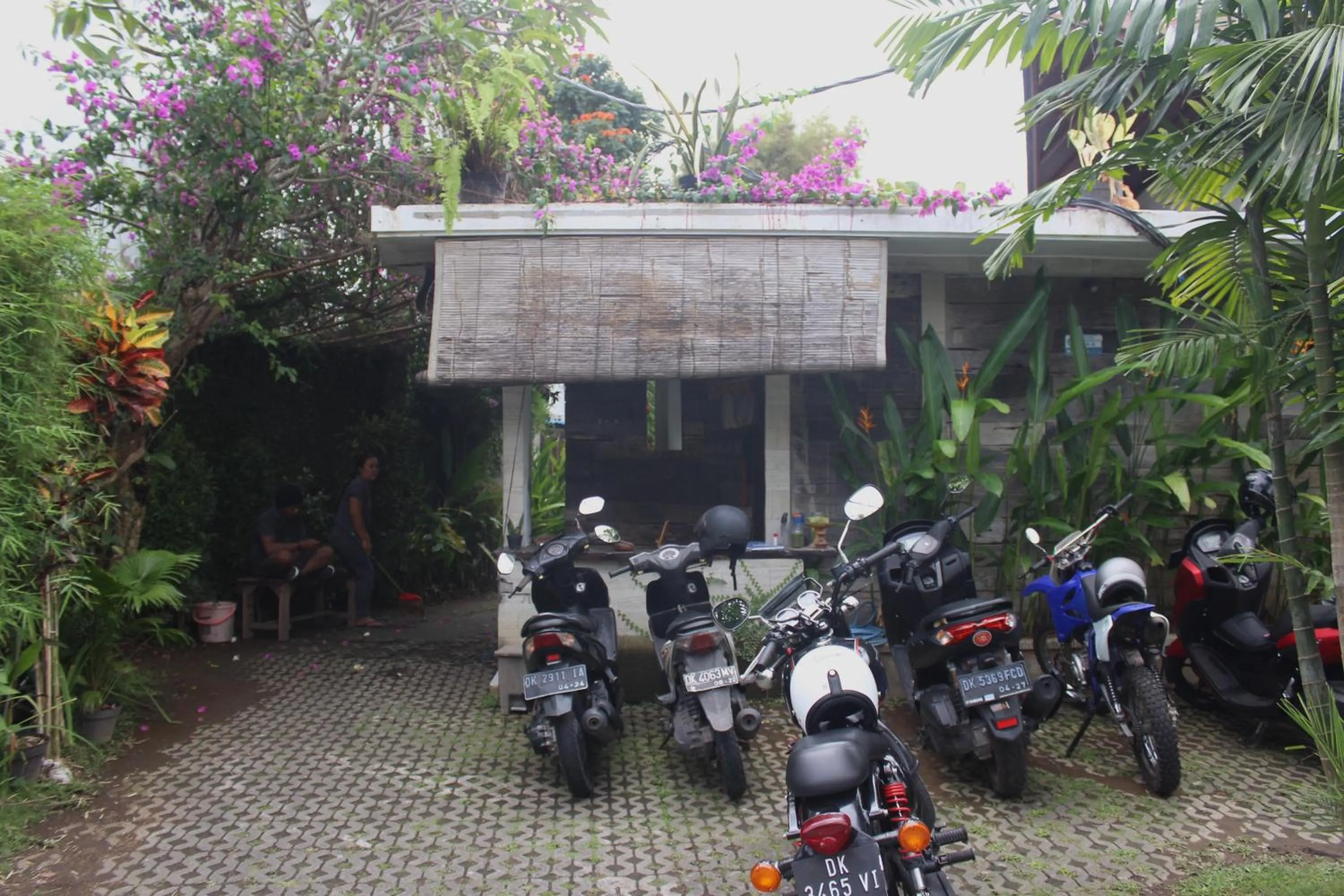 Natural landscape in Villa Sahaja