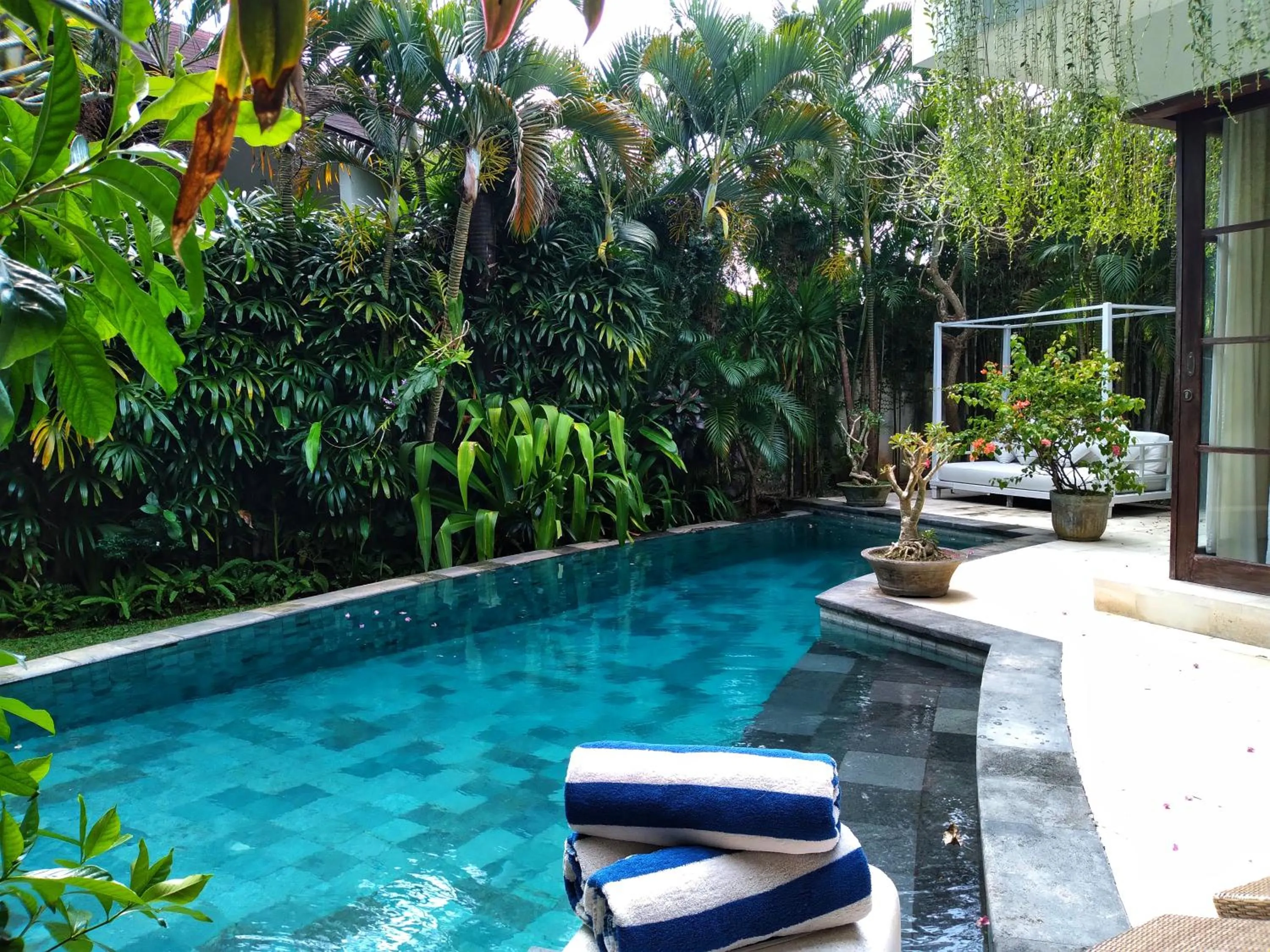 Swimming pool in Villa Sahaja