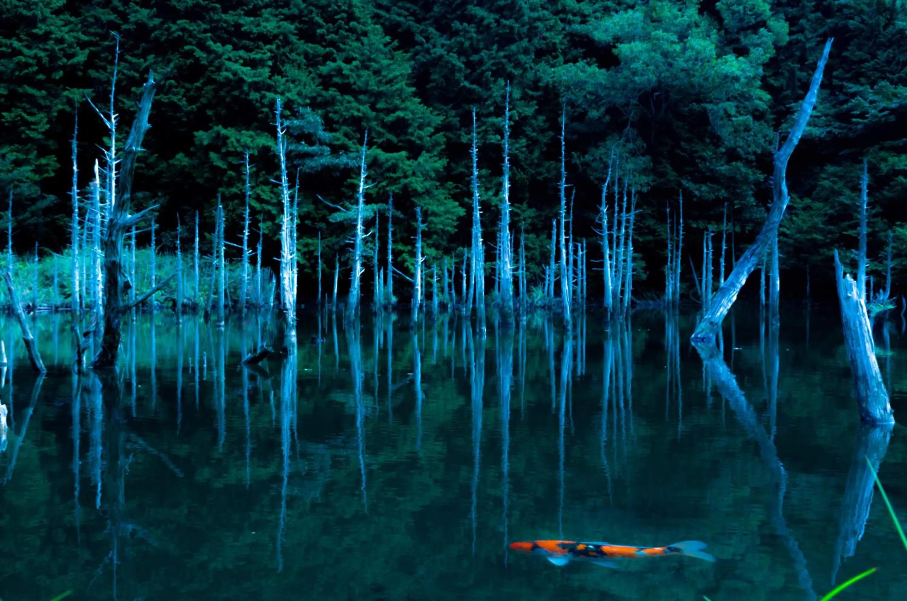 Nearby landmark in Ichinomata Onsen Grand Hotel