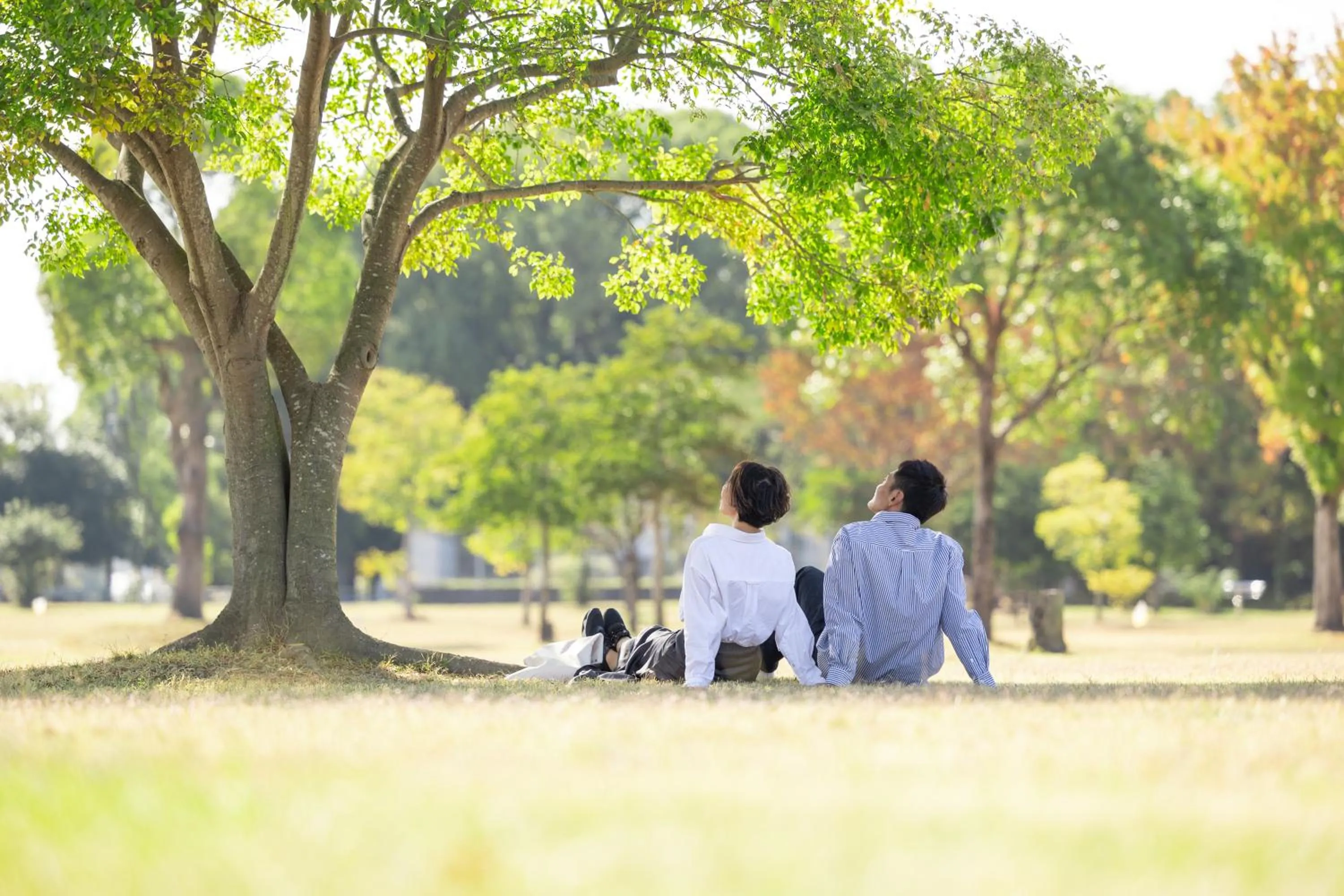 Chikugofunegoya Koen No Yado