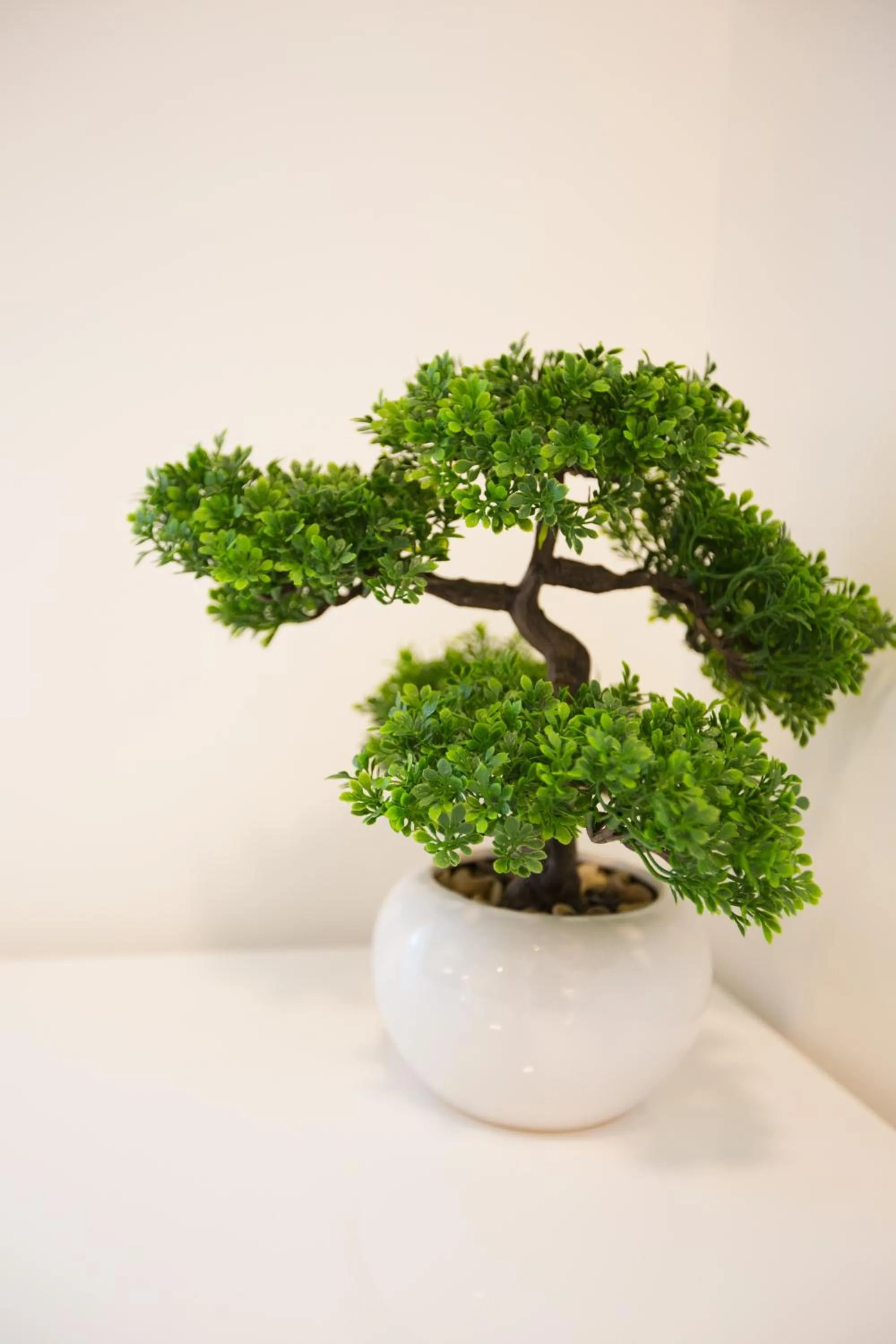 King's Street Apartments