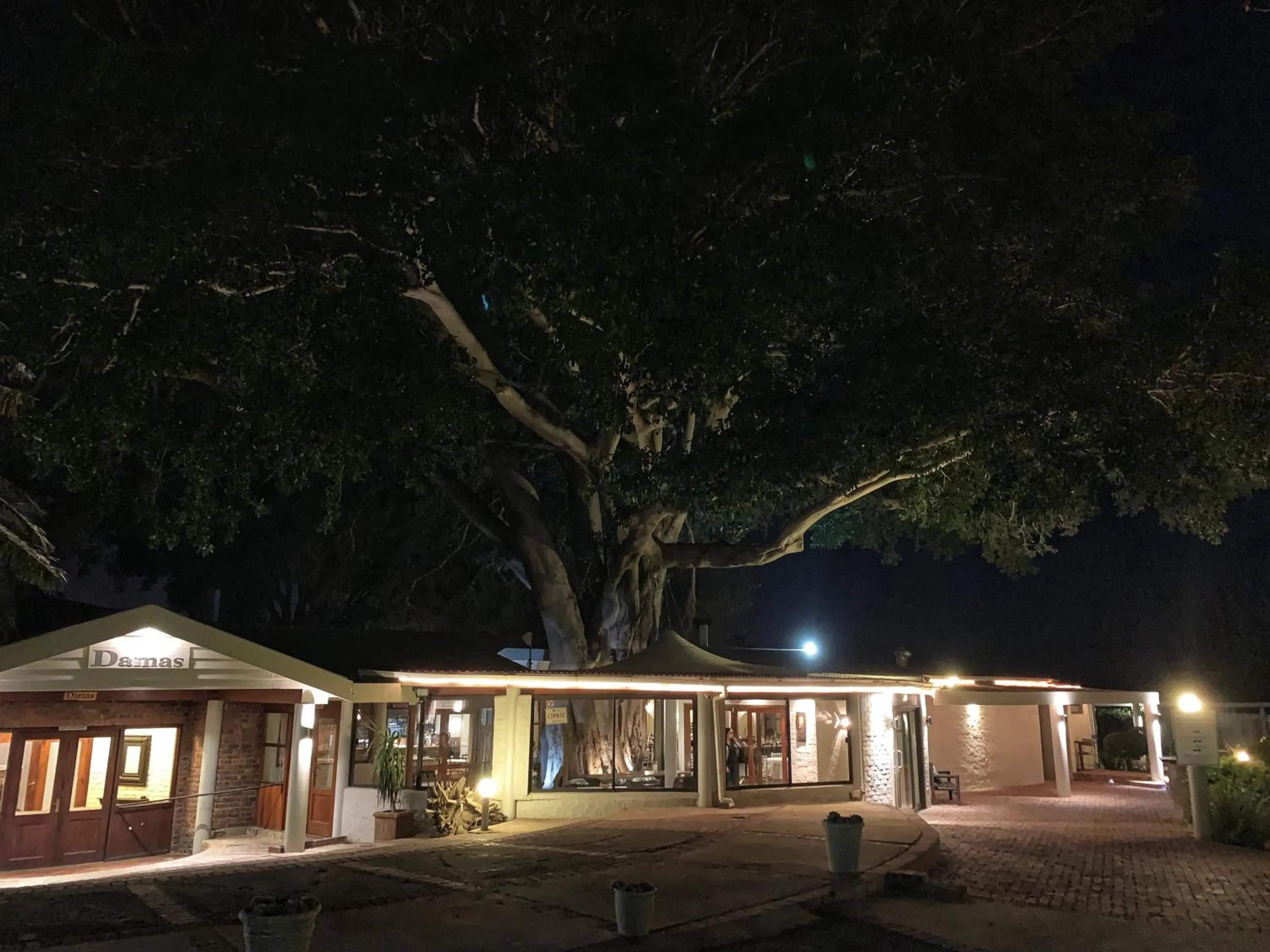 Property building in Damas Guest Farm