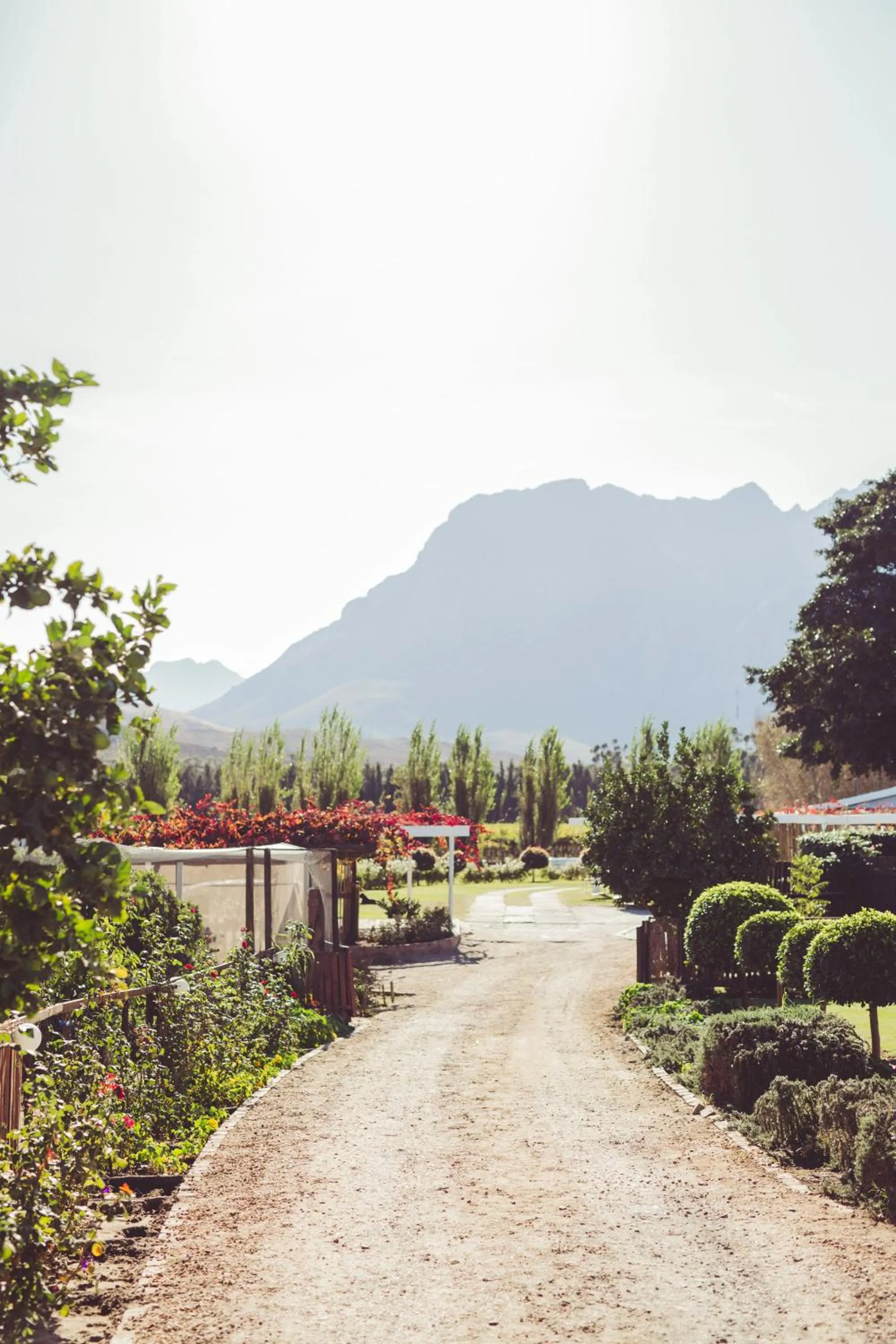 Natural landscape in Damas Guest Farm
