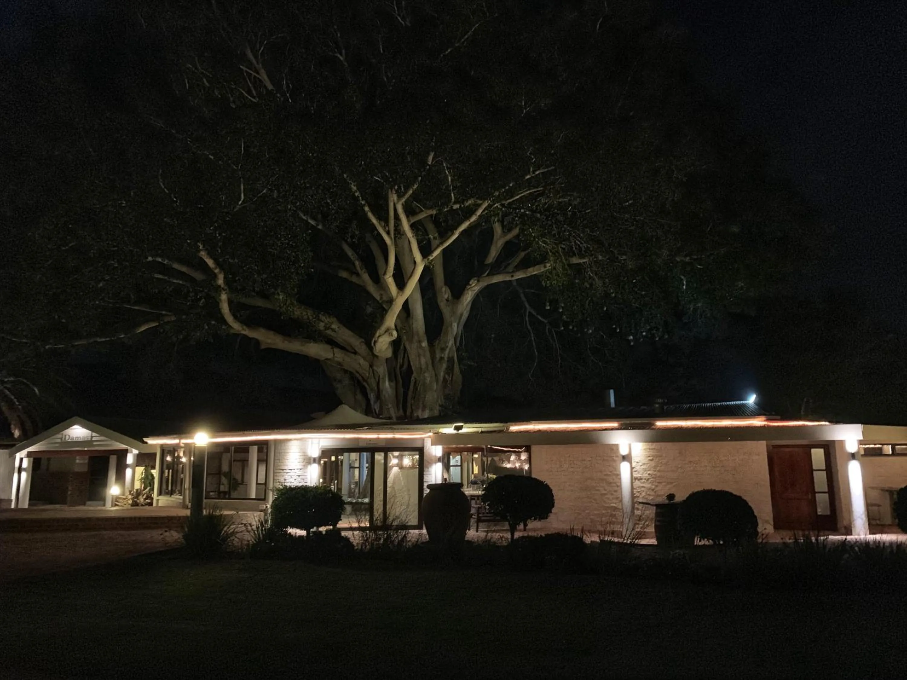 Property building in Damas Guest Farm