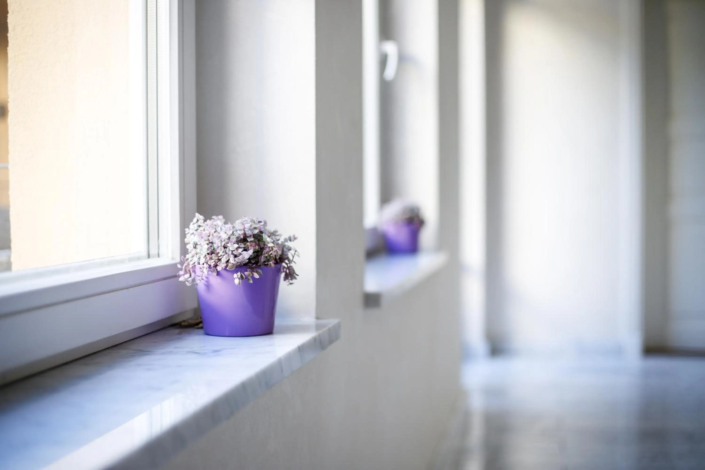 Living room in Dönhoff Residence
